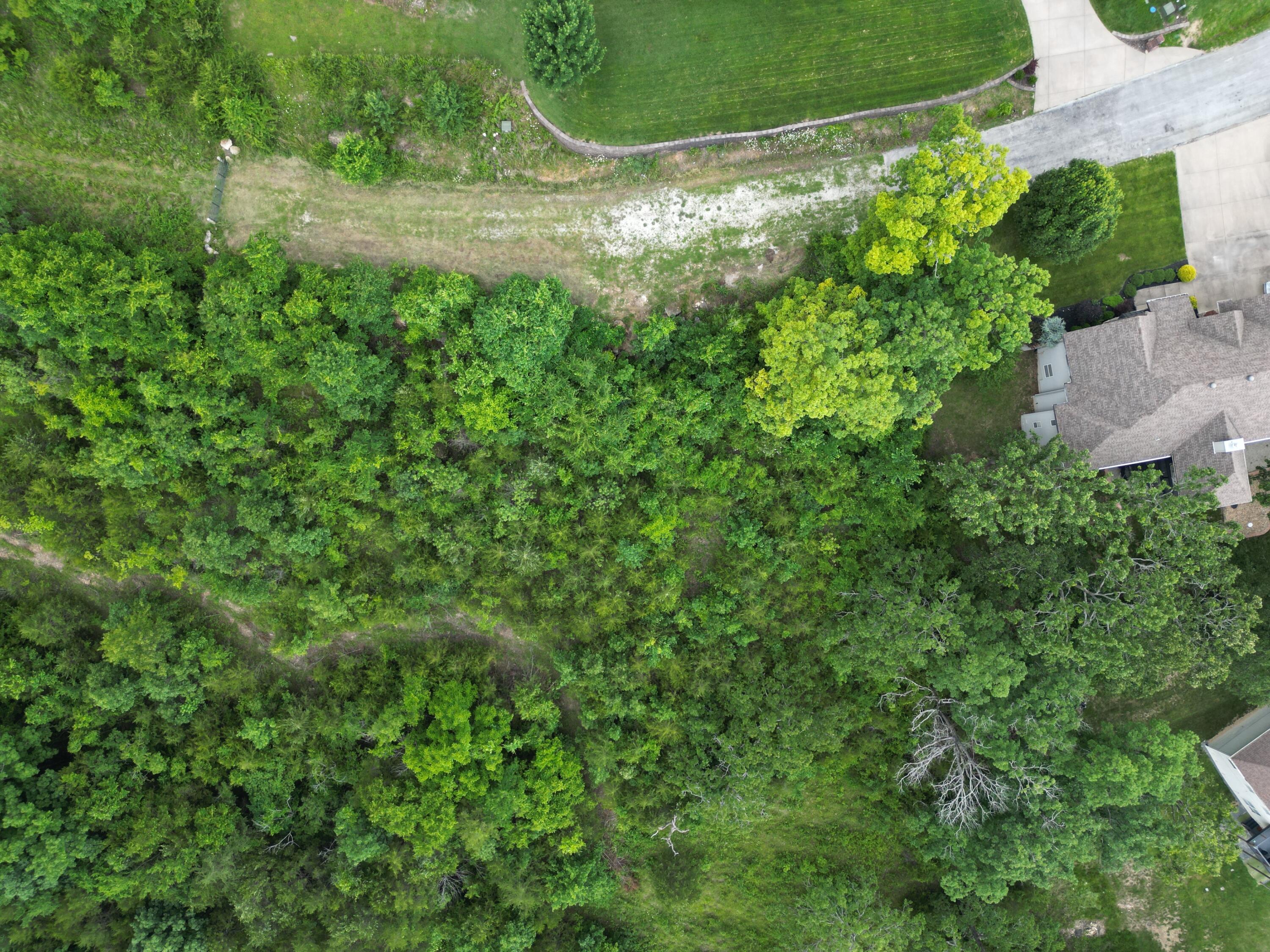 259 Jacks Hollow Road Property Photo 13