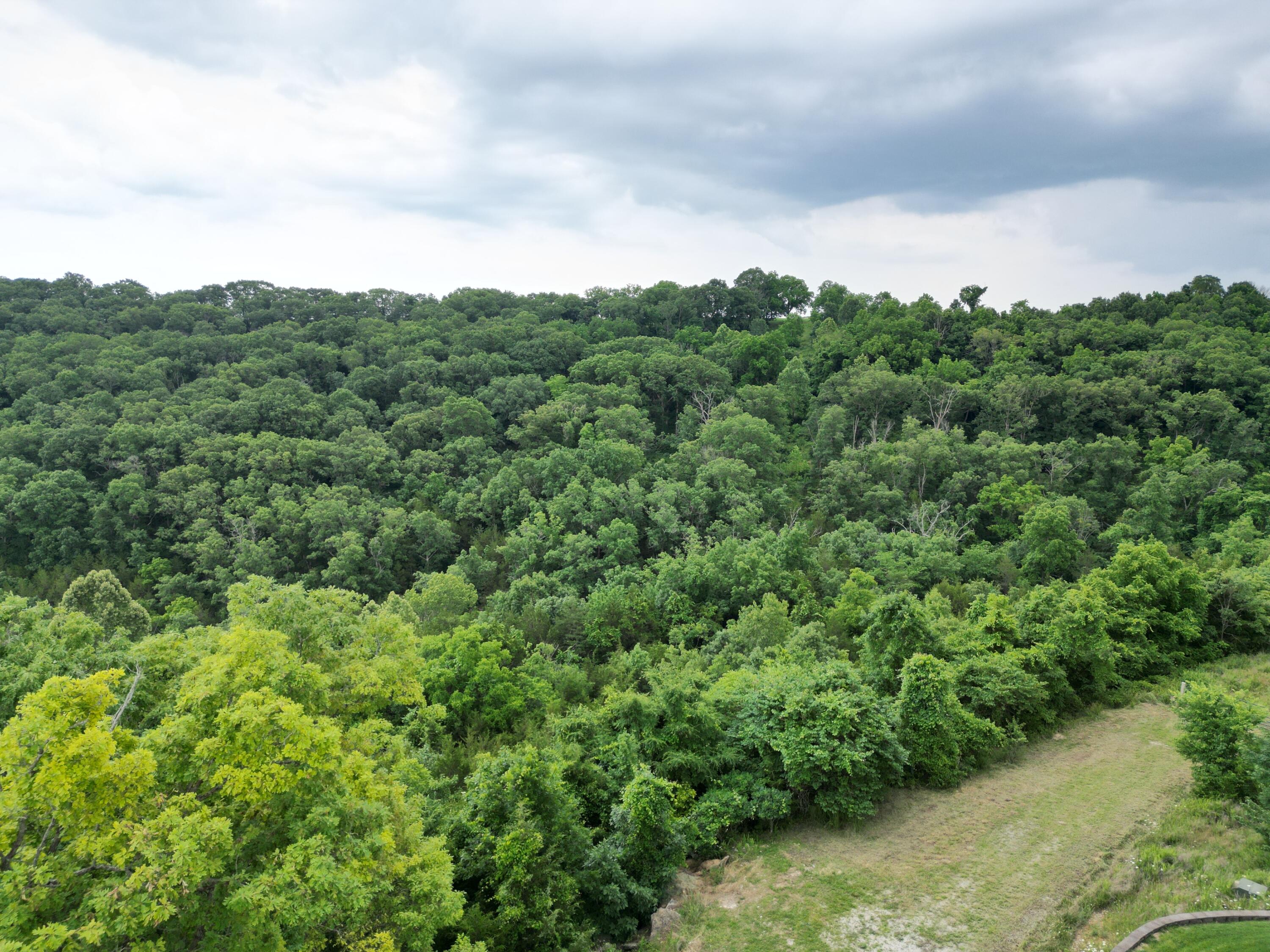 259 Jacks Hollow Road Property Photo 14