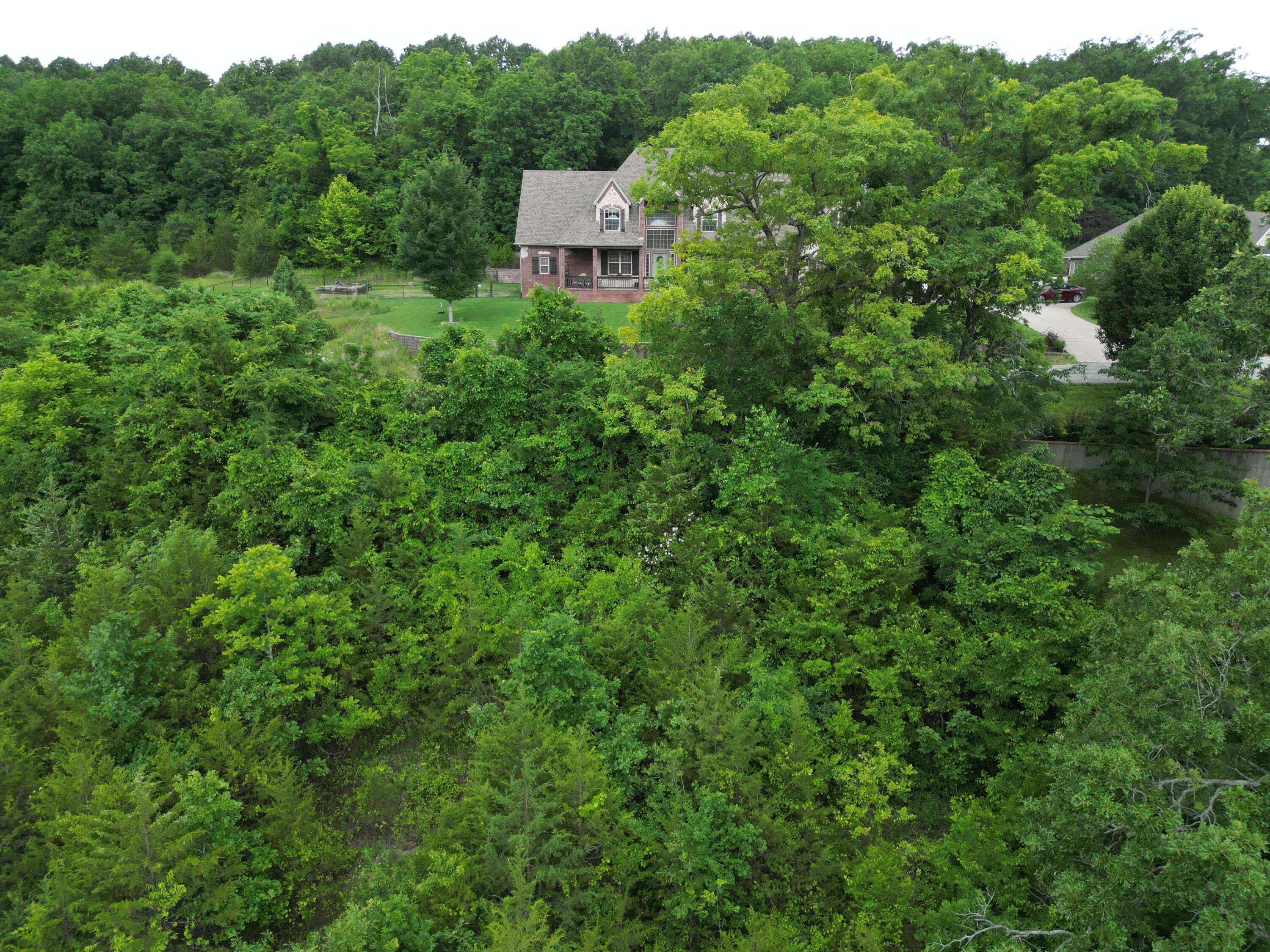 259 Jacks Hollow Road Property Photo 15