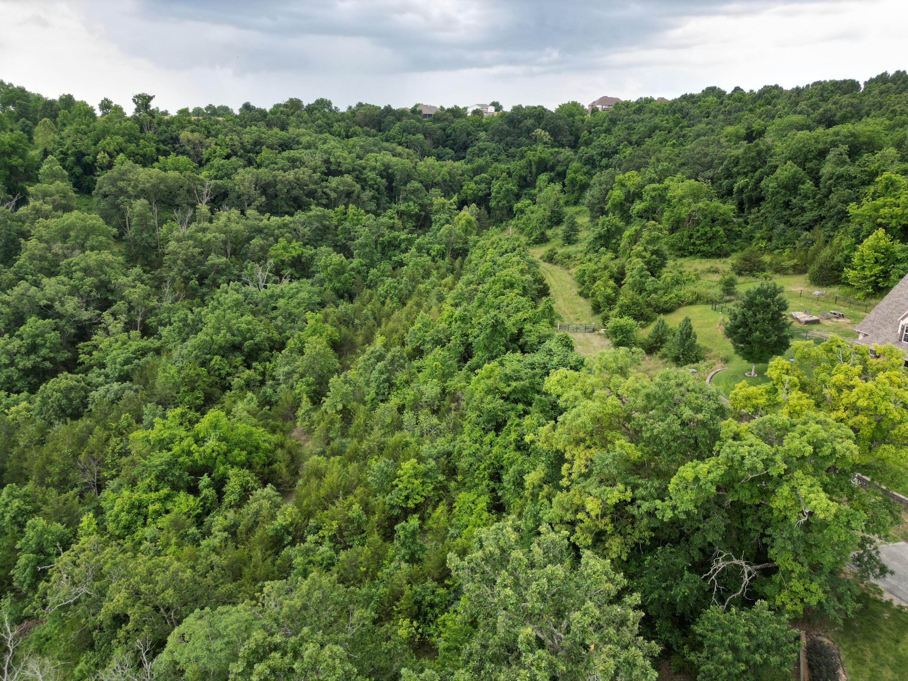 259 Jacks Hollow Road Property Photo 16