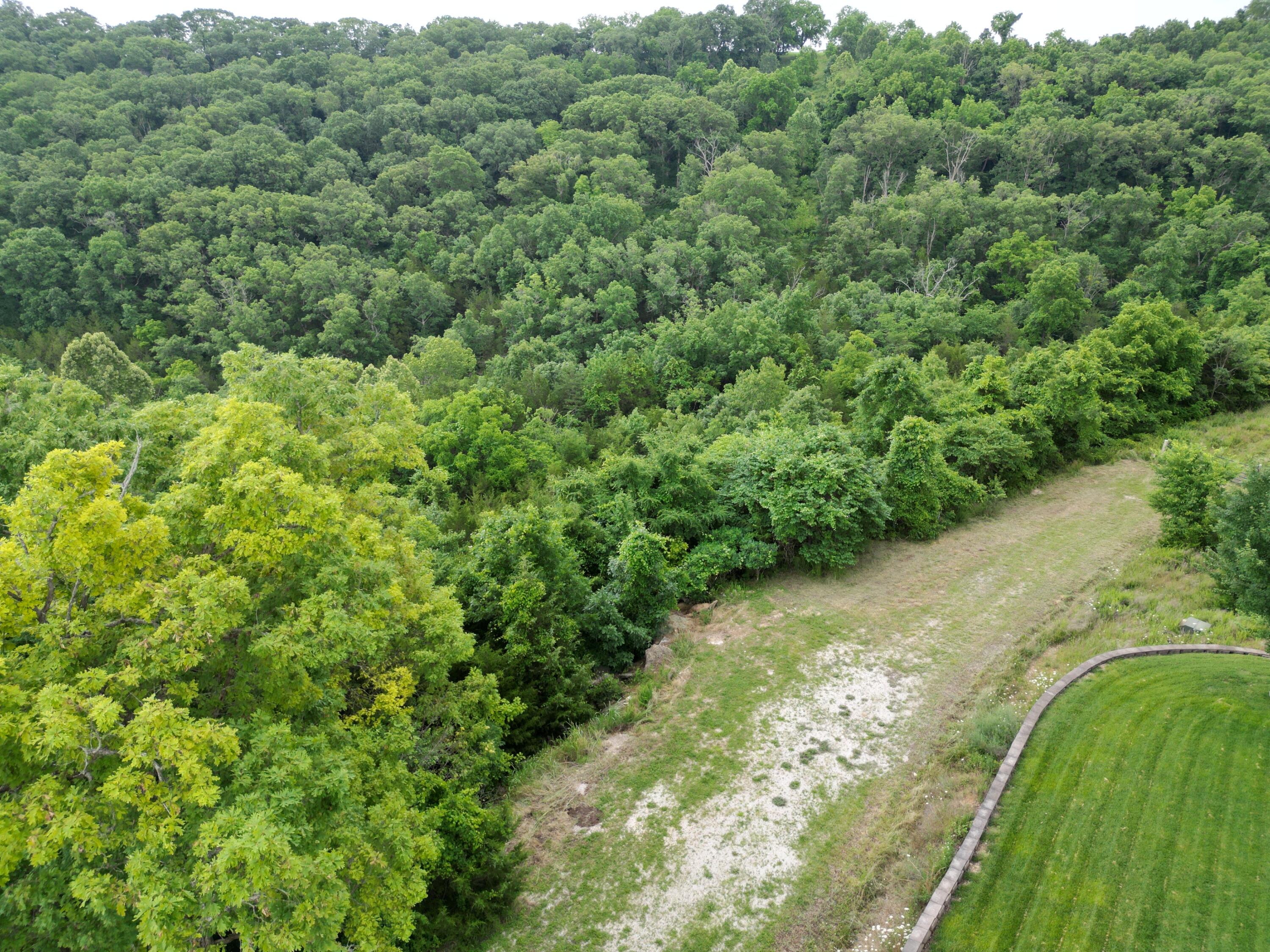 259 Jacks Hollow Road Property Photo 17