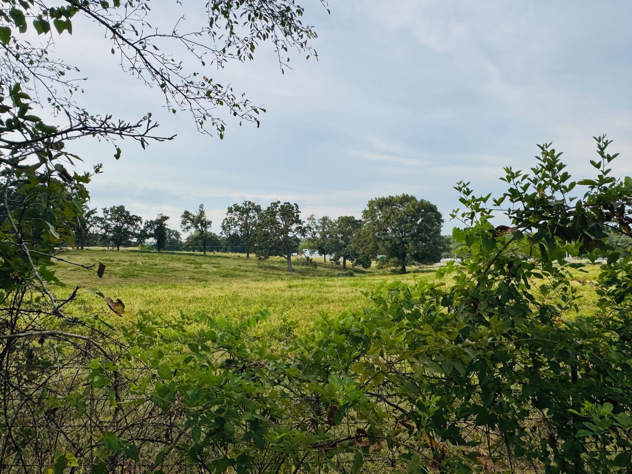 16329 State Highway 76 Property Photo 27