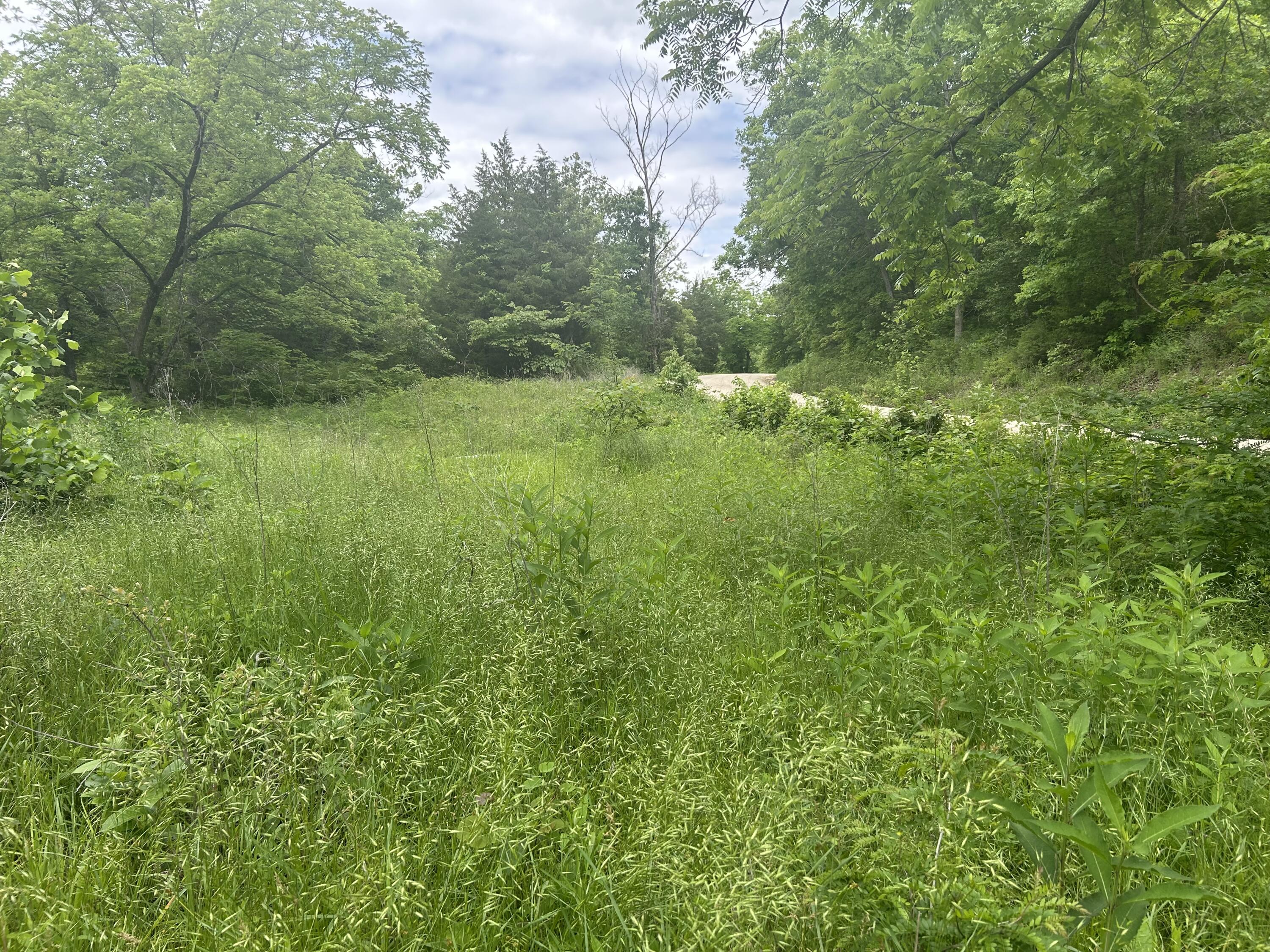 5025 Kolb Hollow Road Property Photo 1