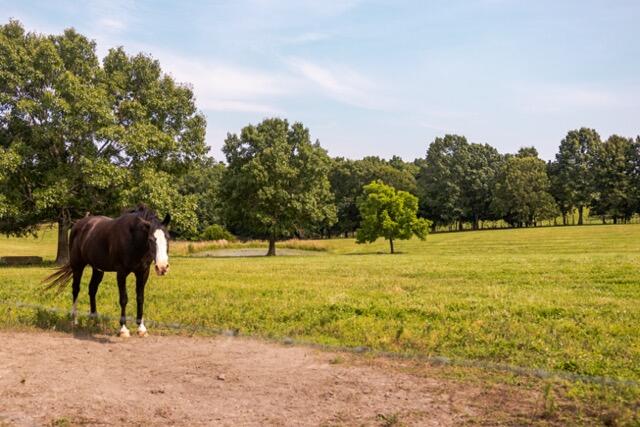 1576 County Road 221 Property Photo 8