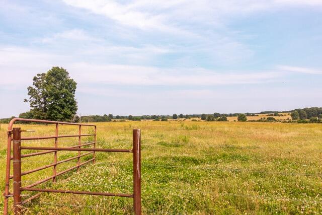 1576 County Road 221 Property Photo 17