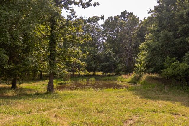 1576 County Road 221 Property Photo 18