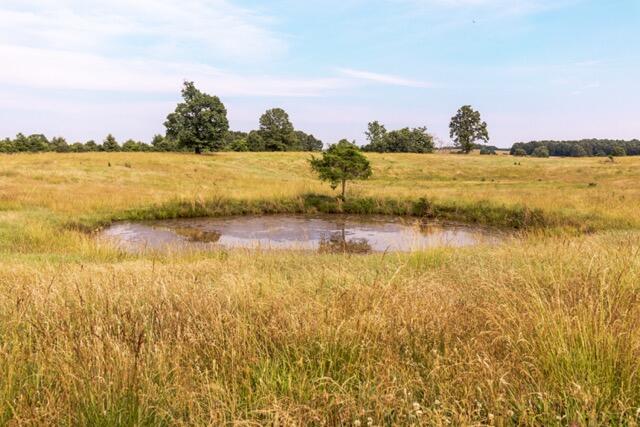 1576 County Road 221 Property Photo 19