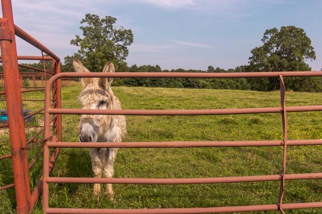 1576 County Road 221 Property Photo 22