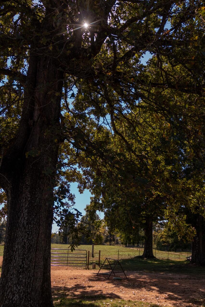 1576 County Road 221 Property Photo 39