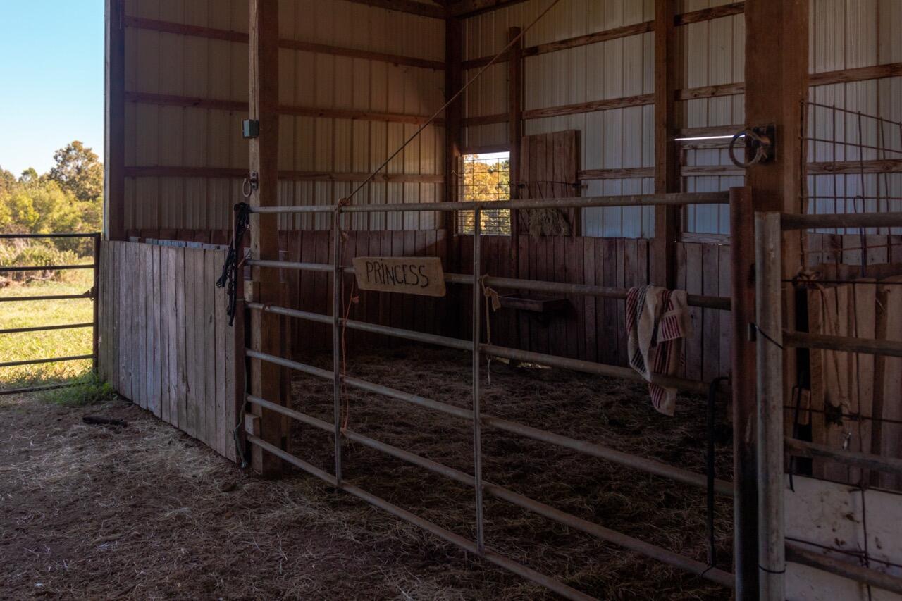 1576 County Road 221 Property Photo 43