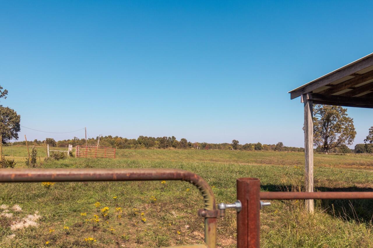 1576 County Road 221 Property Photo 49