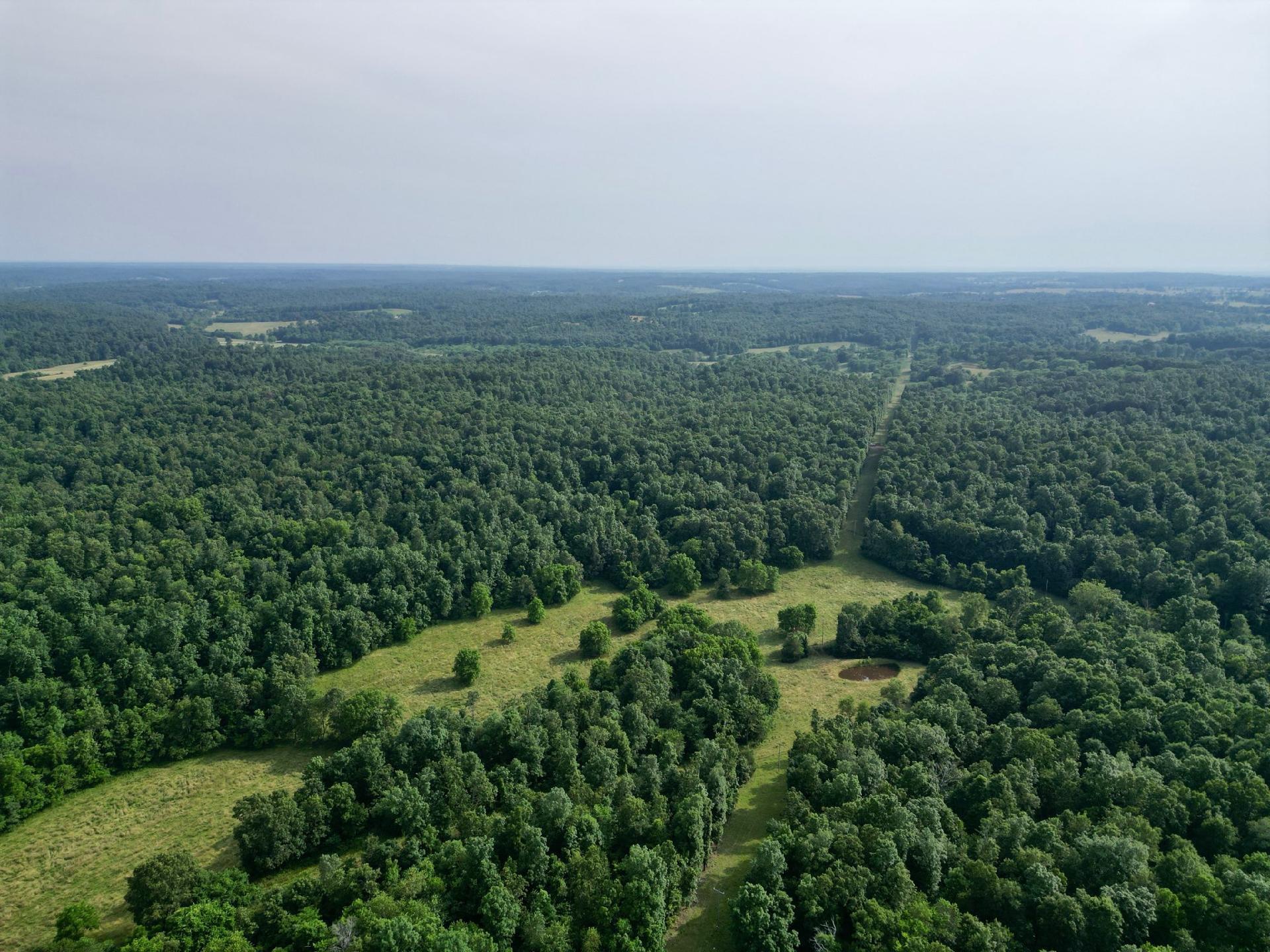 Tbd County Road 250 Property Photo 1