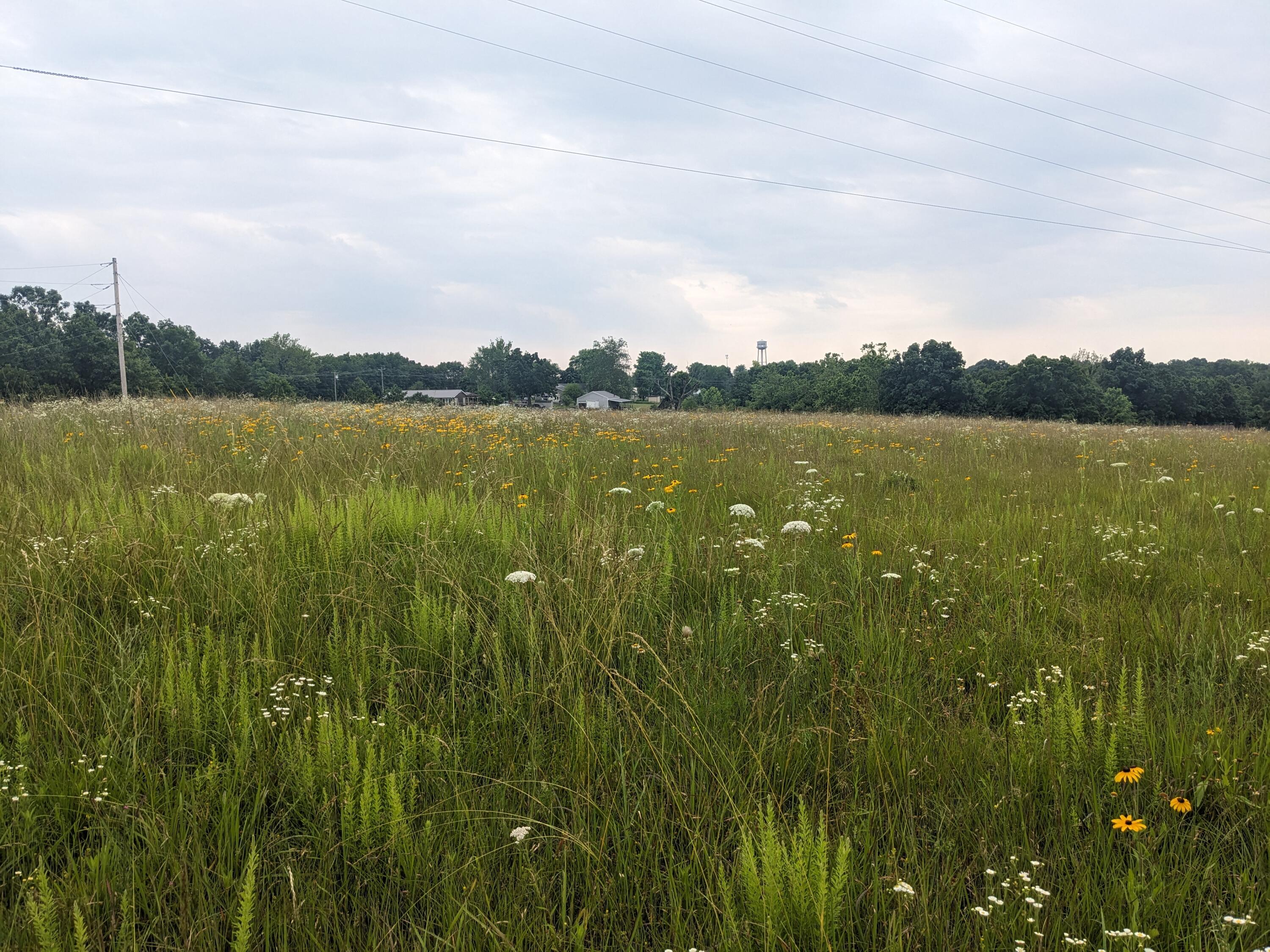 000 Bison Road Property Photo 2