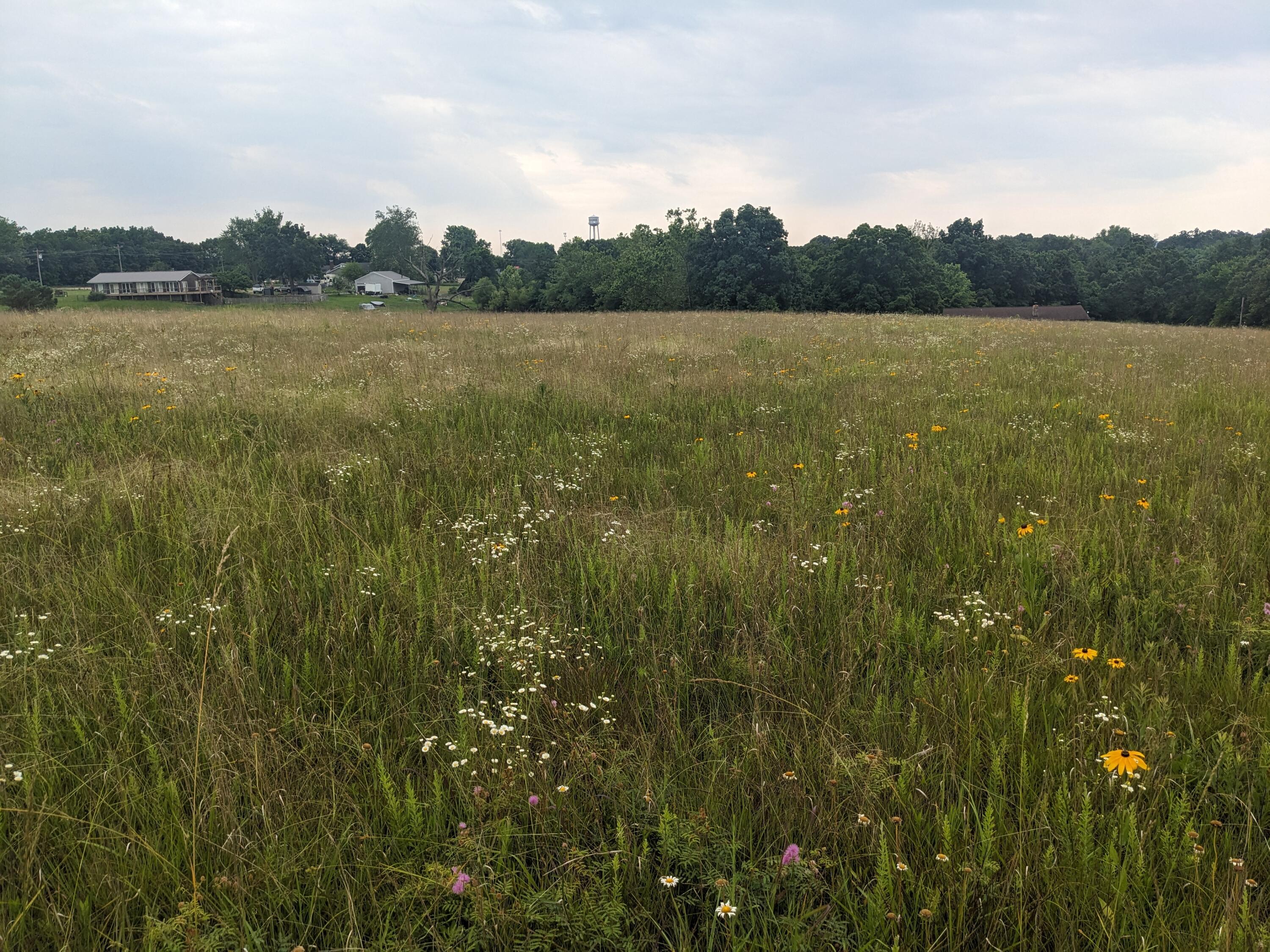 000 Bison Road Property Photo 3