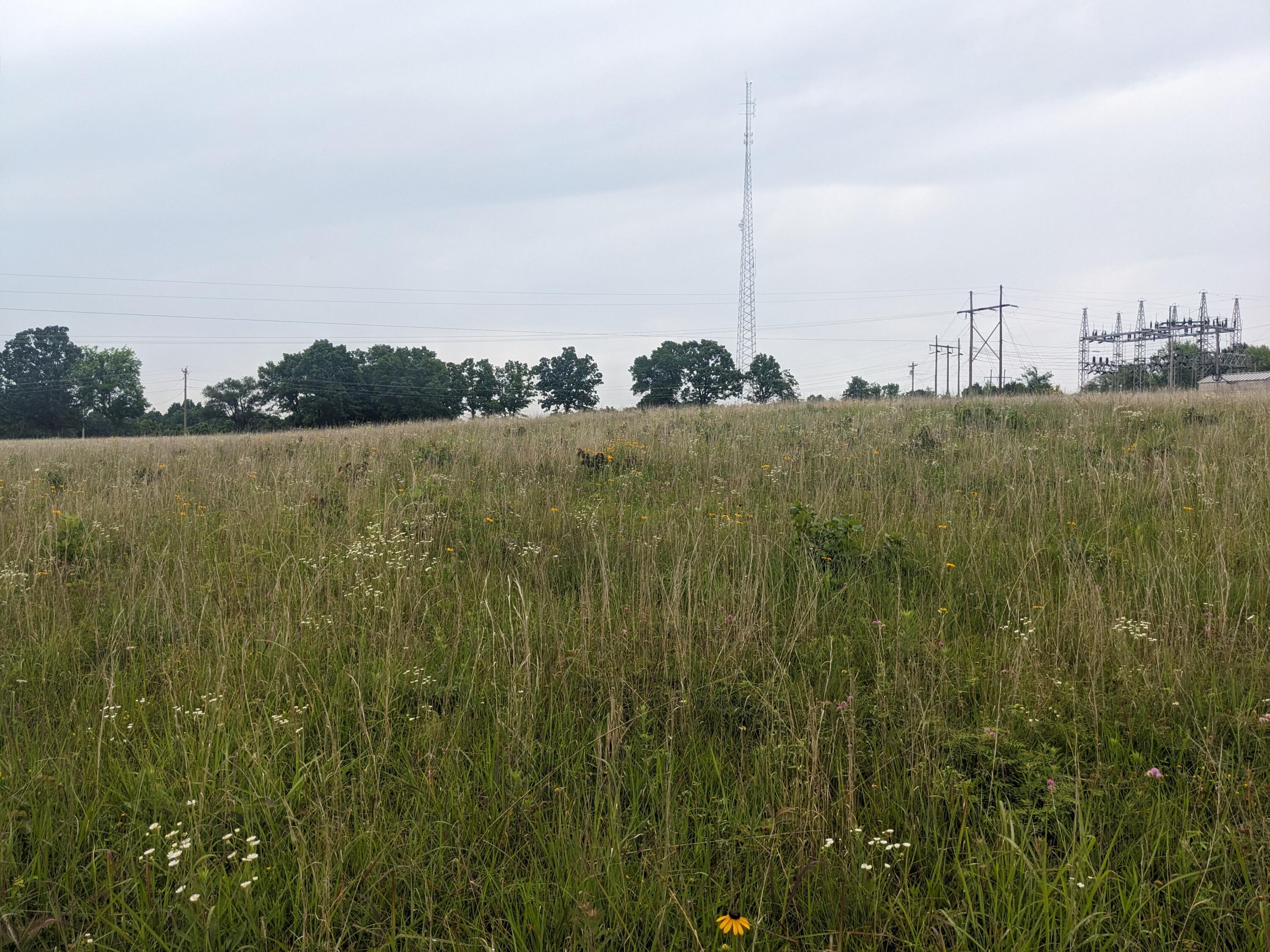 000 Bison Road Property Photo 4