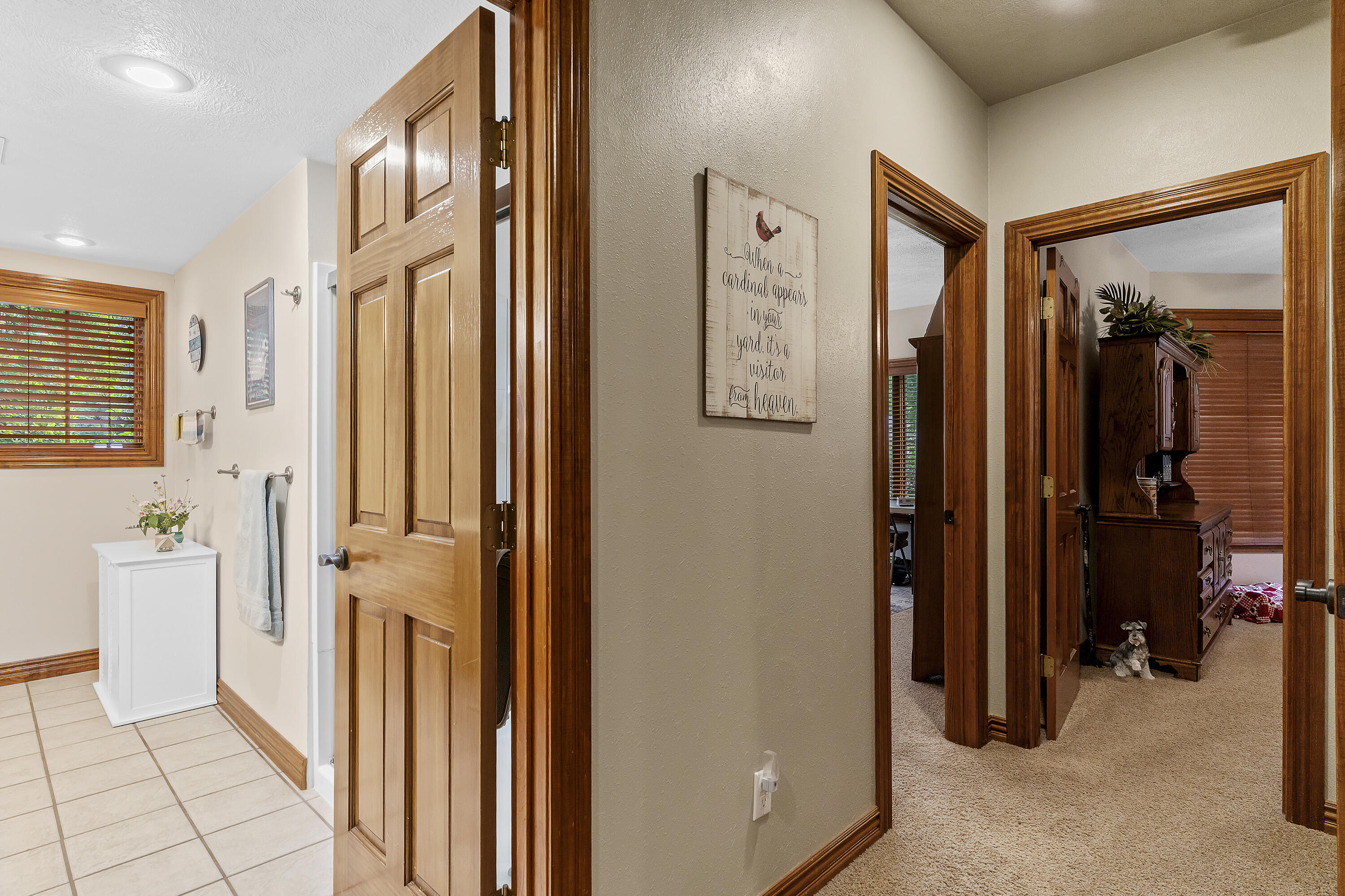 4305 East Scotty Court Property Photo 61