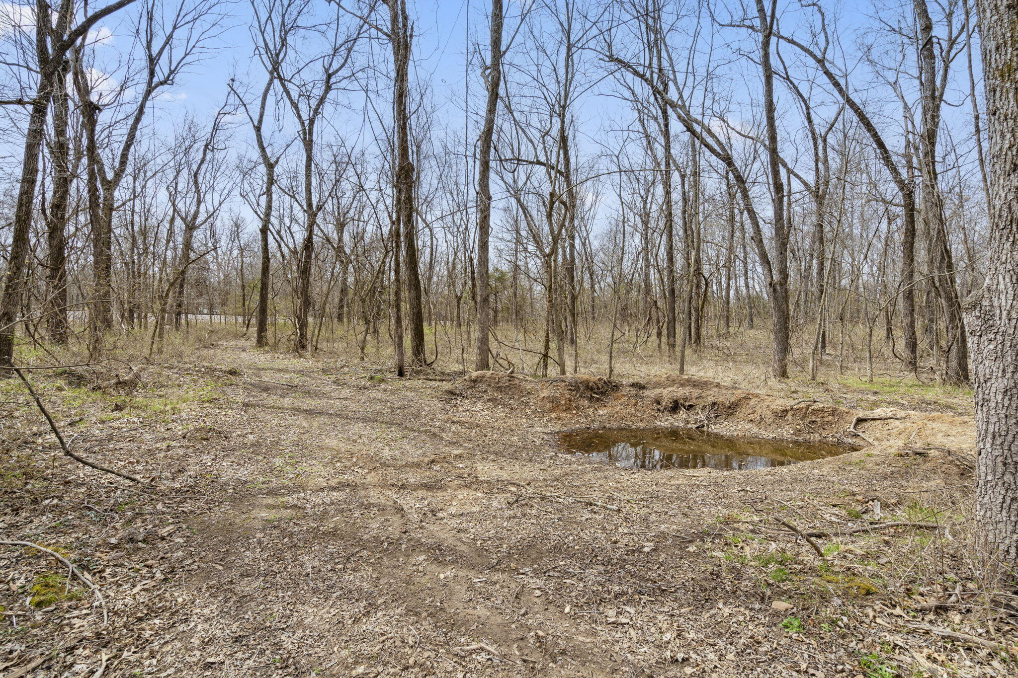 2007 North Farm Road 89 Property Photo 5