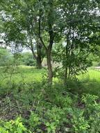 000 Lot 3 Sheridan Road Property Photo 6