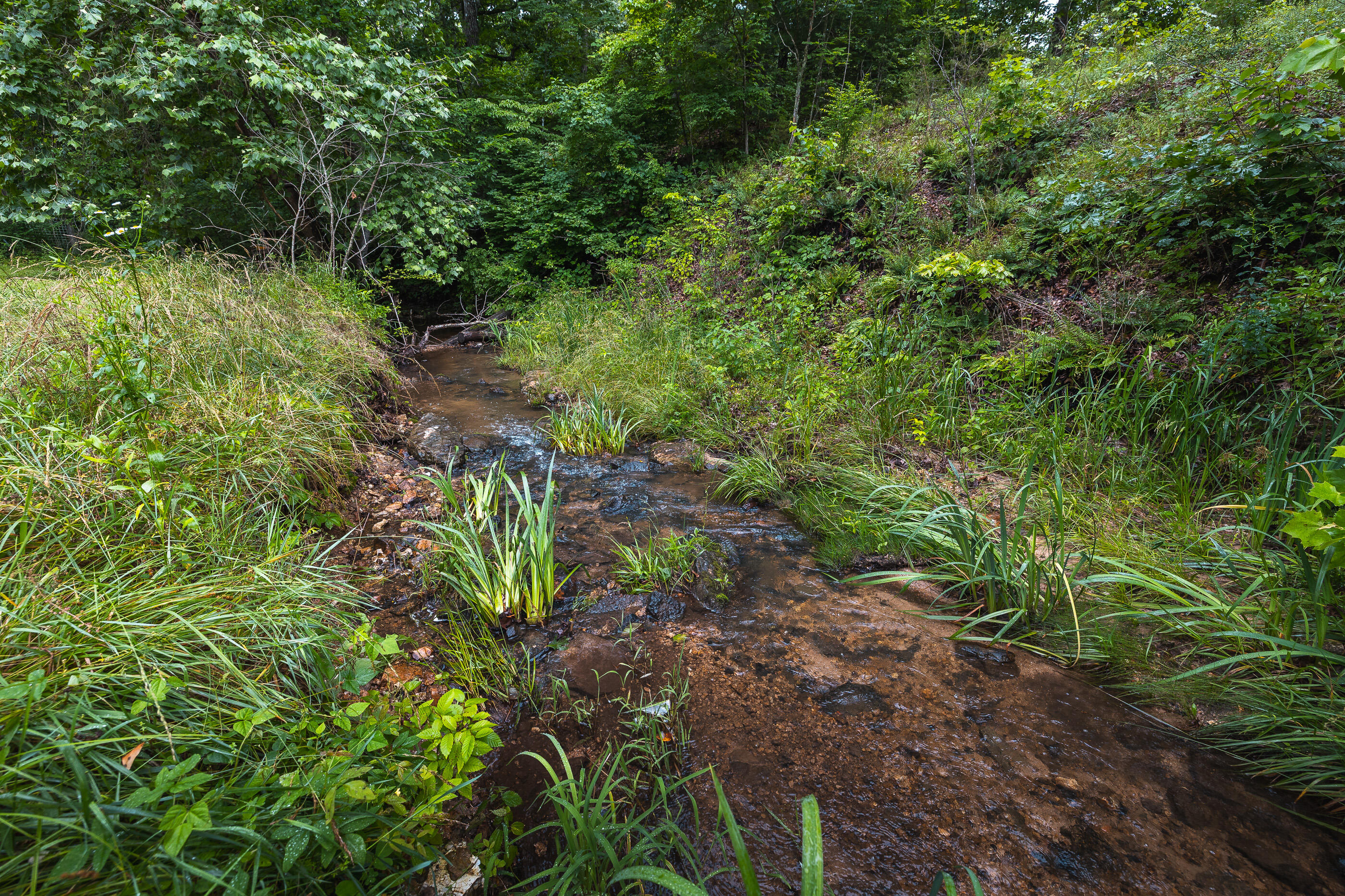 10049 Chateau Road Property Photo 15
