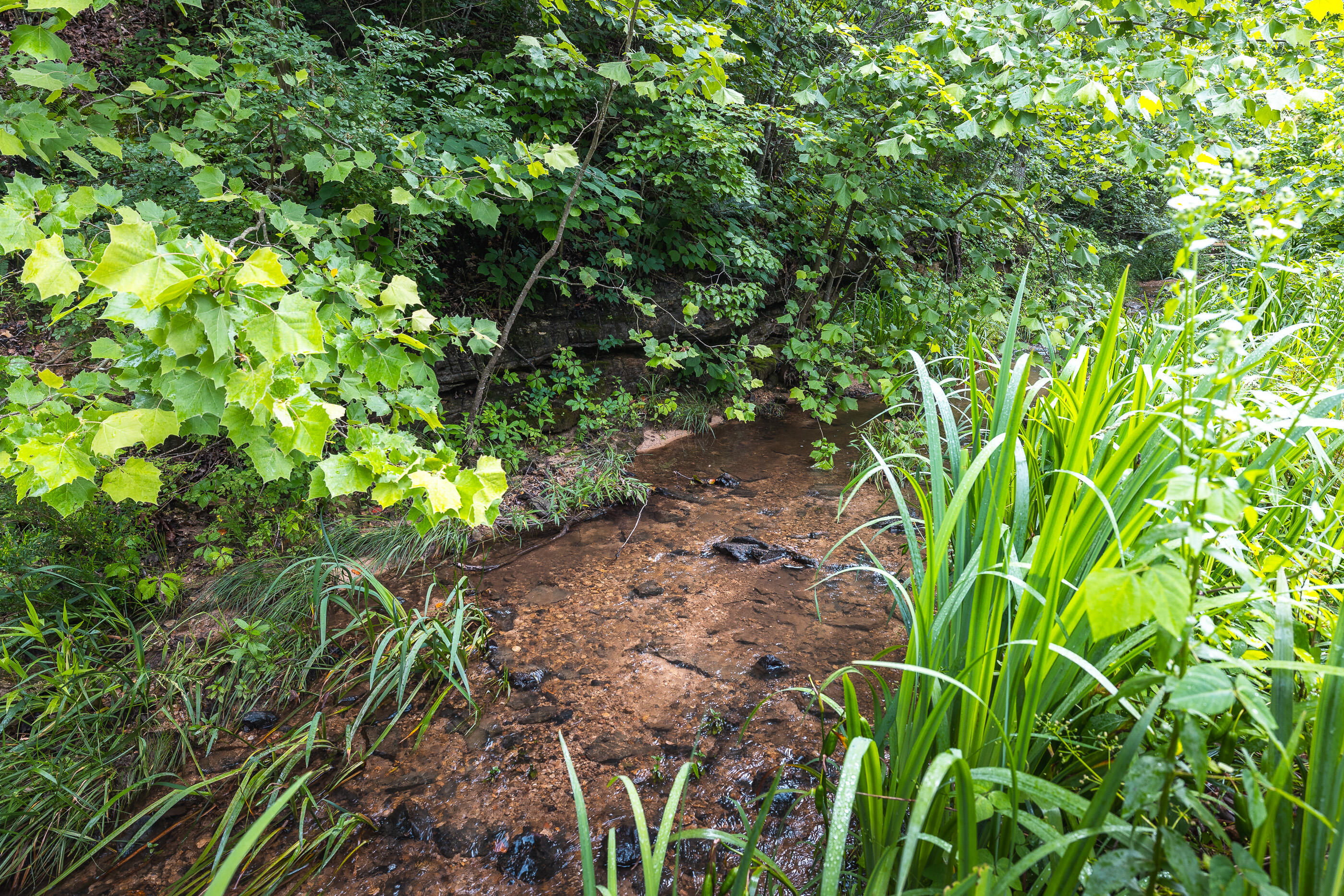 10049 Chateau Road Property Photo 16
