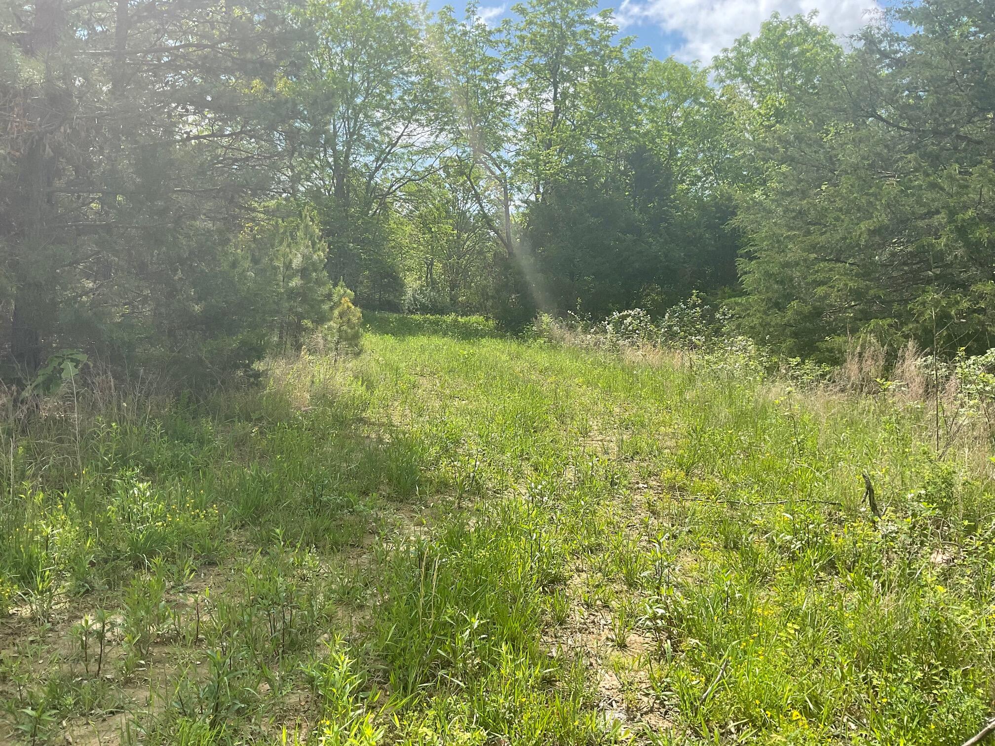 11335 Hartville Road Property Photo 1