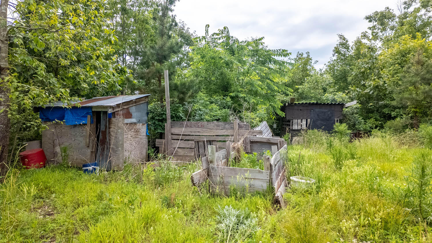 10315 Stella Way Property Photo 8