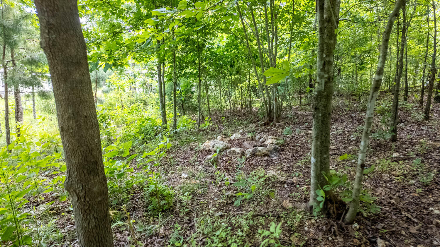 10315 Stella Way Property Photo 10