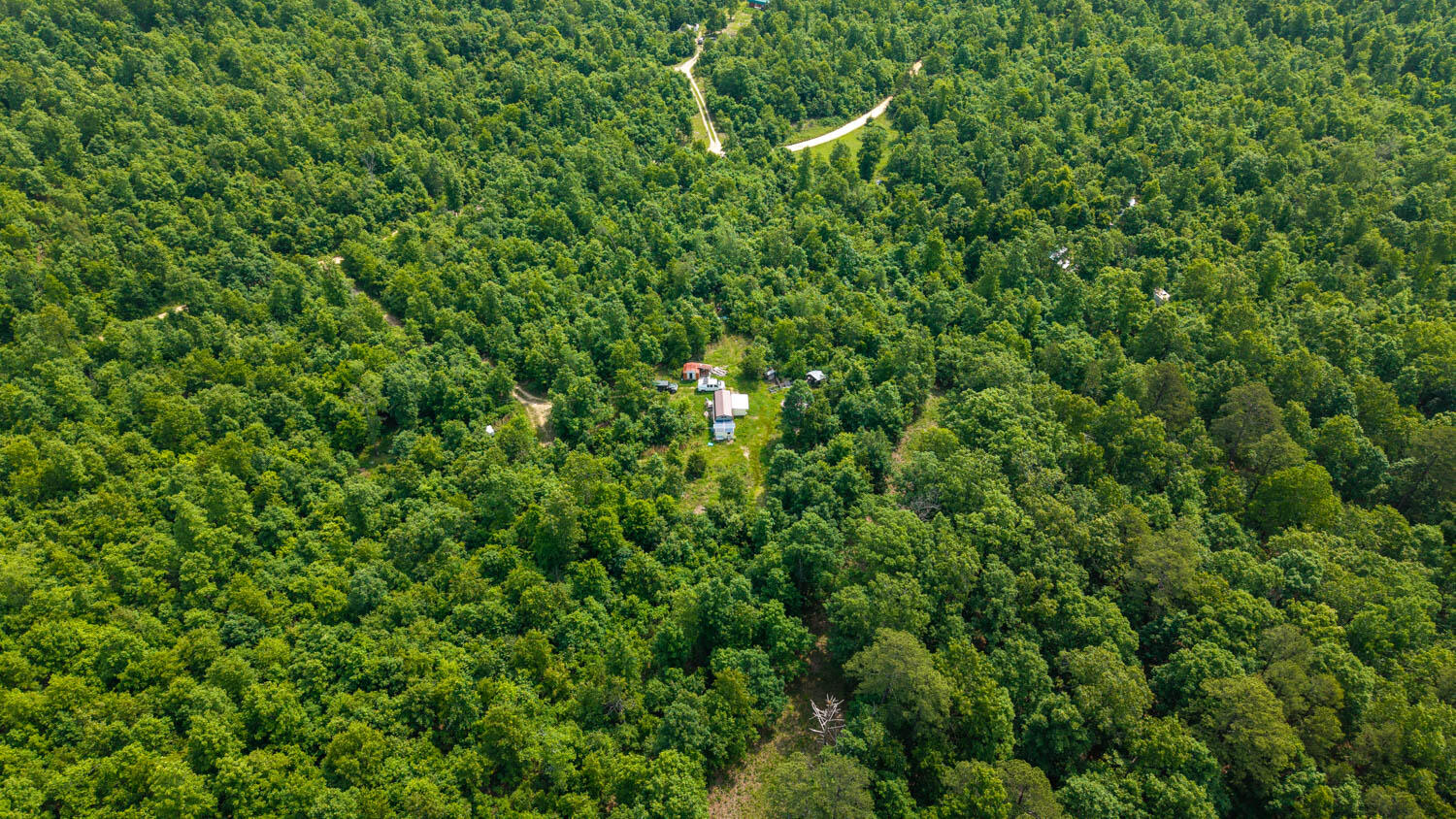 10315 Stella Way Property Photo 13