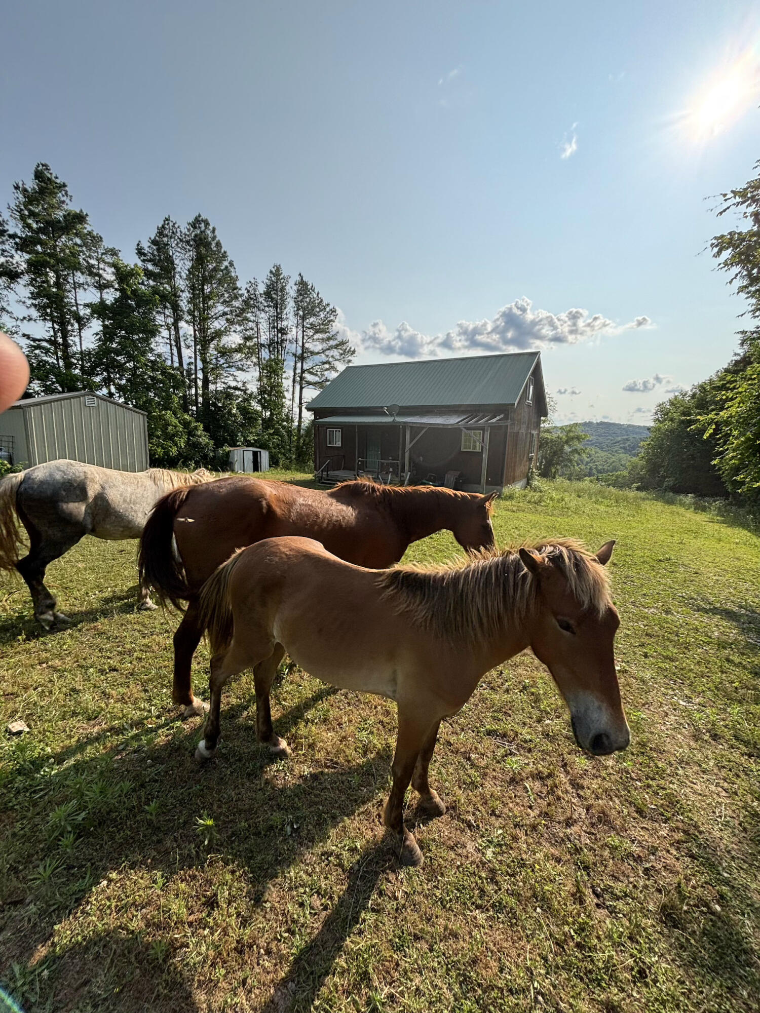 15047 Old West Eminence Road Property Photo 6