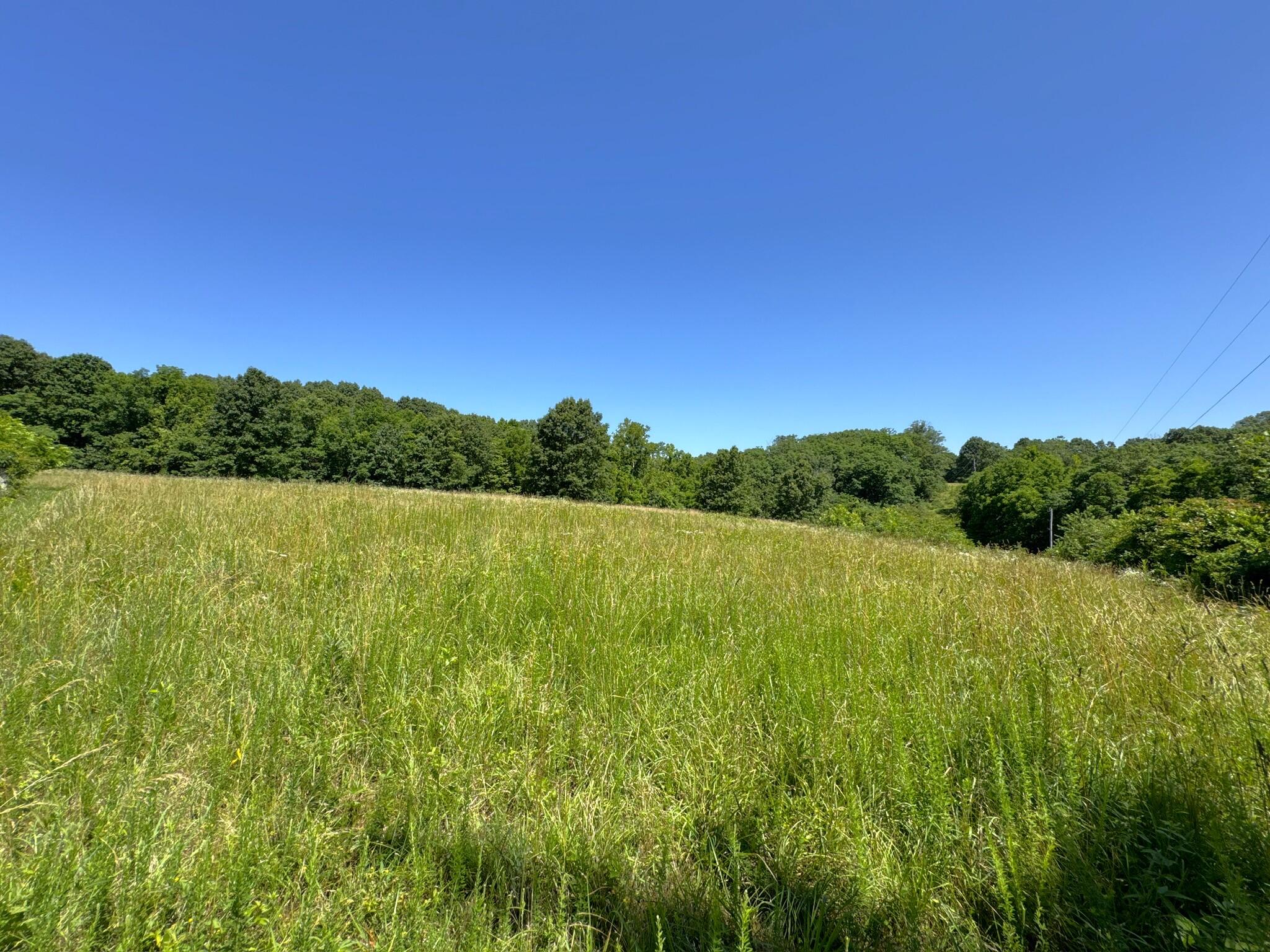 2042 Greasy Creek Lane Property Photo 32