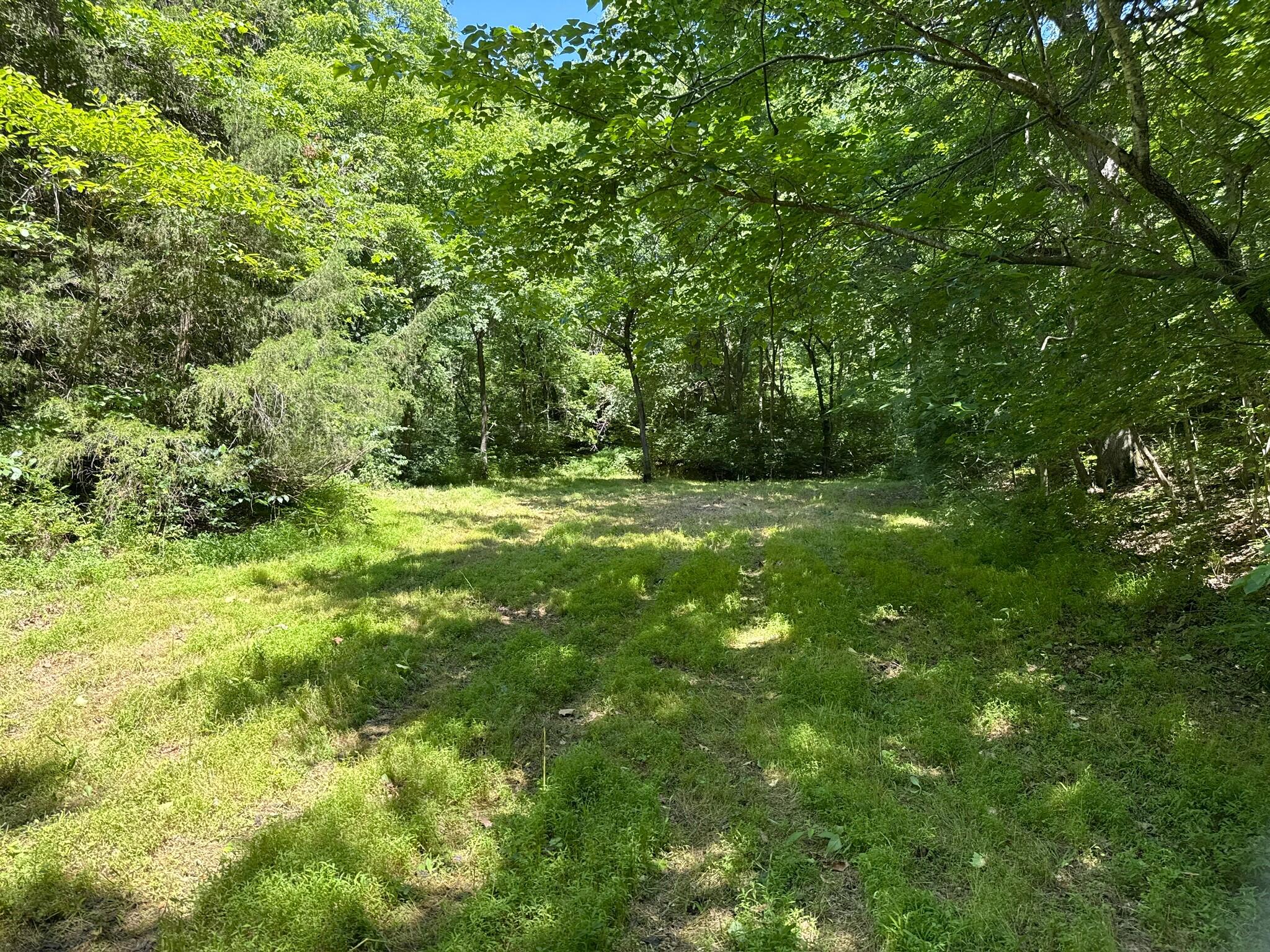 2042 Greasy Creek Lane Property Photo 34