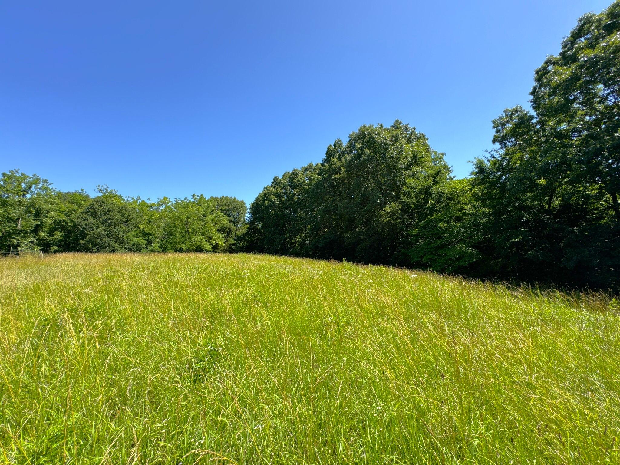 2042 Greasy Creek Lane Property Photo 37