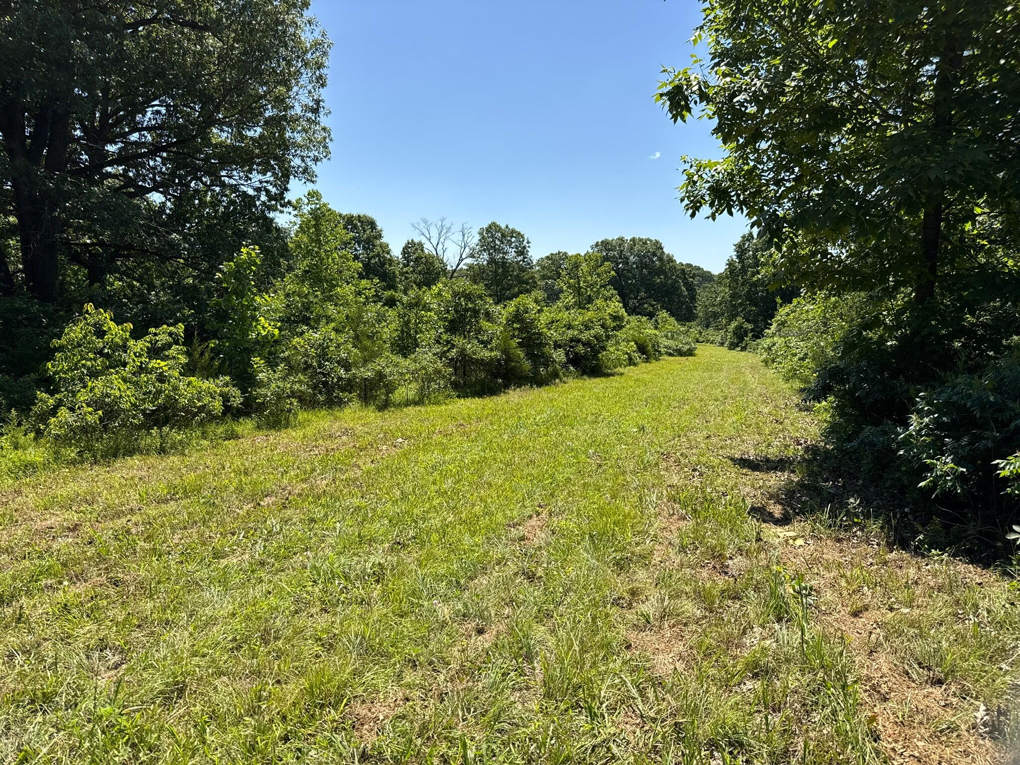 2042 Greasy Creek Lane Property Photo 38