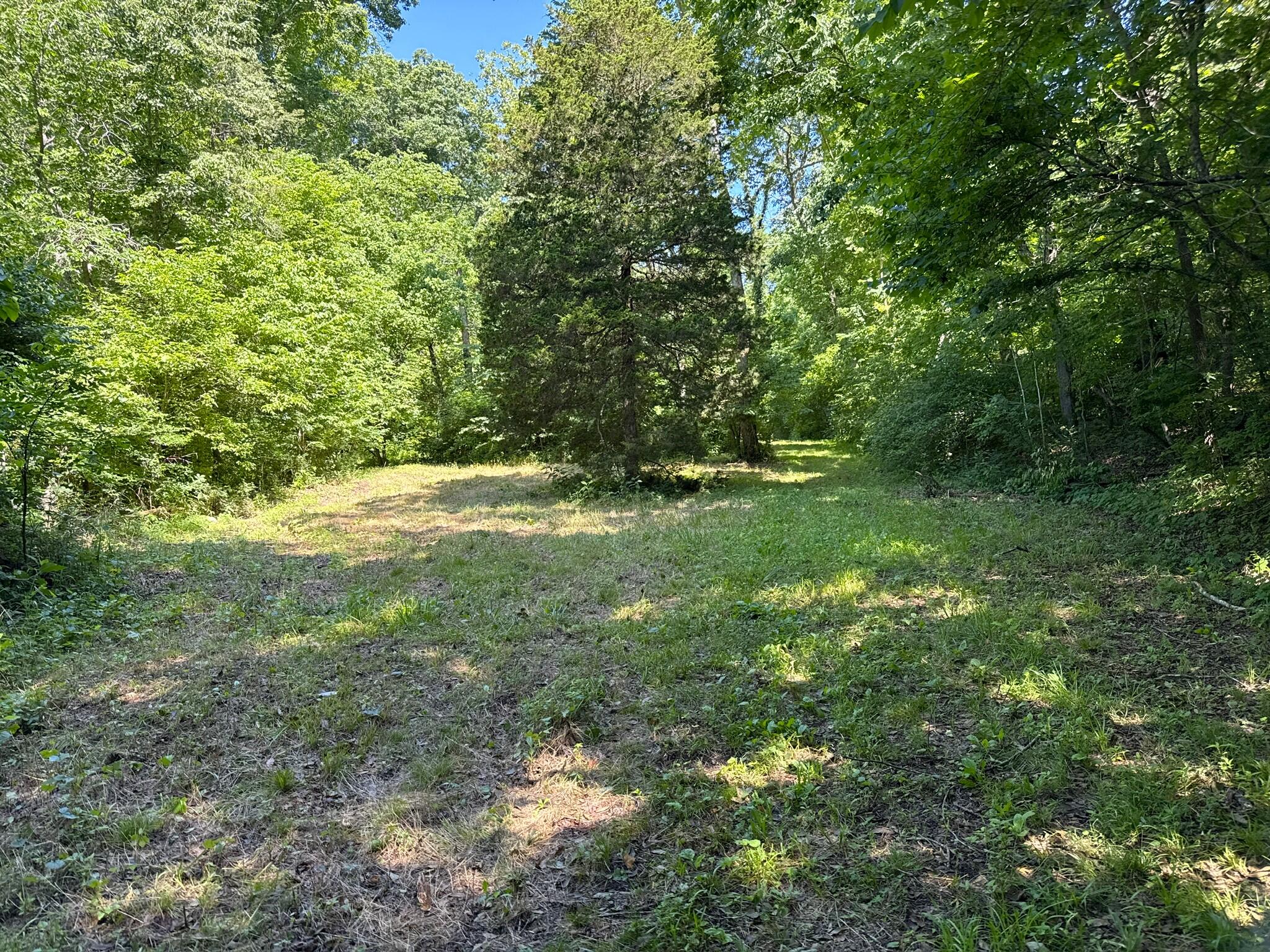 2042 Greasy Creek Lane Property Photo 39