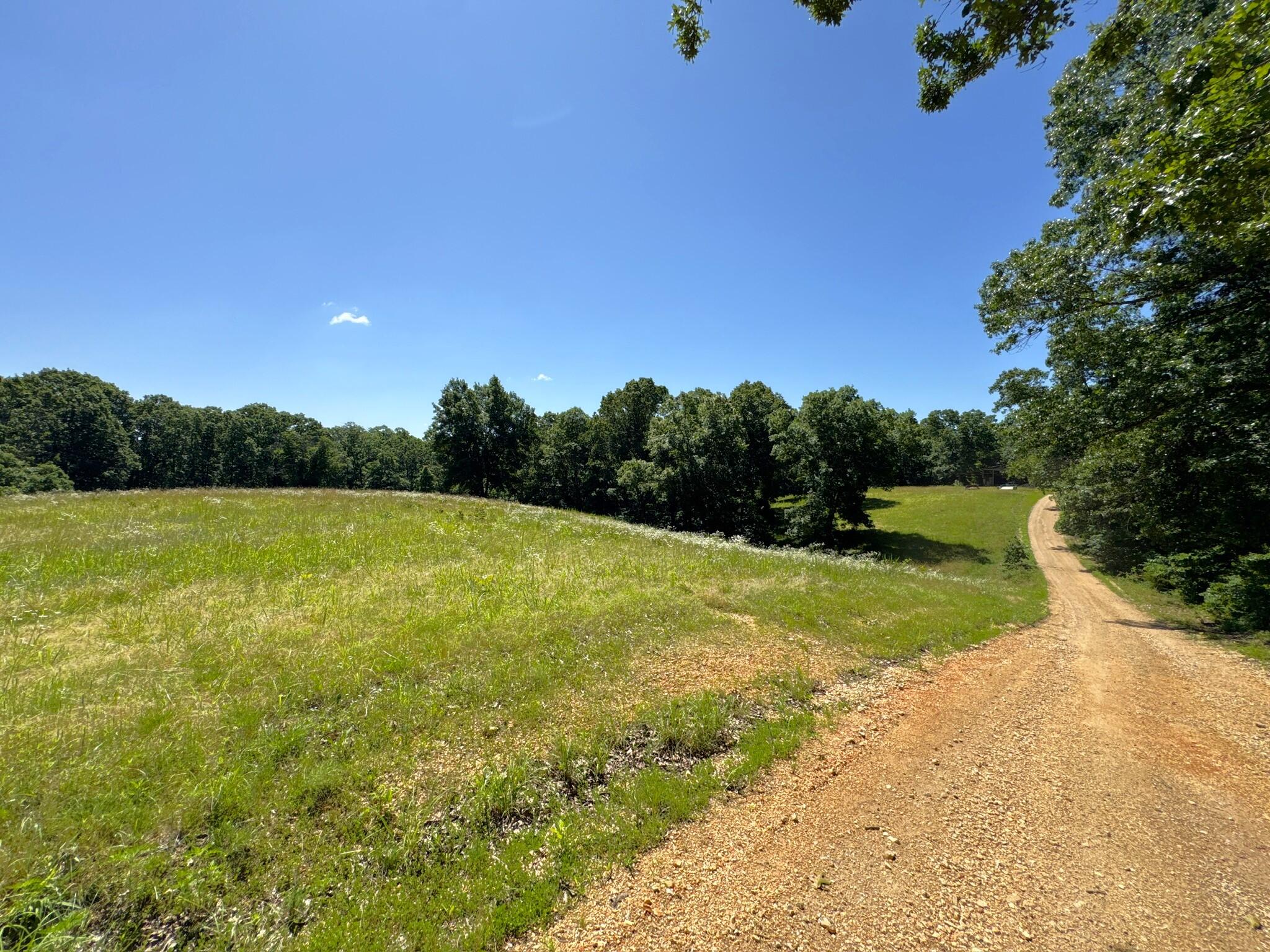 2042 Greasy Creek Lane Property Photo 40