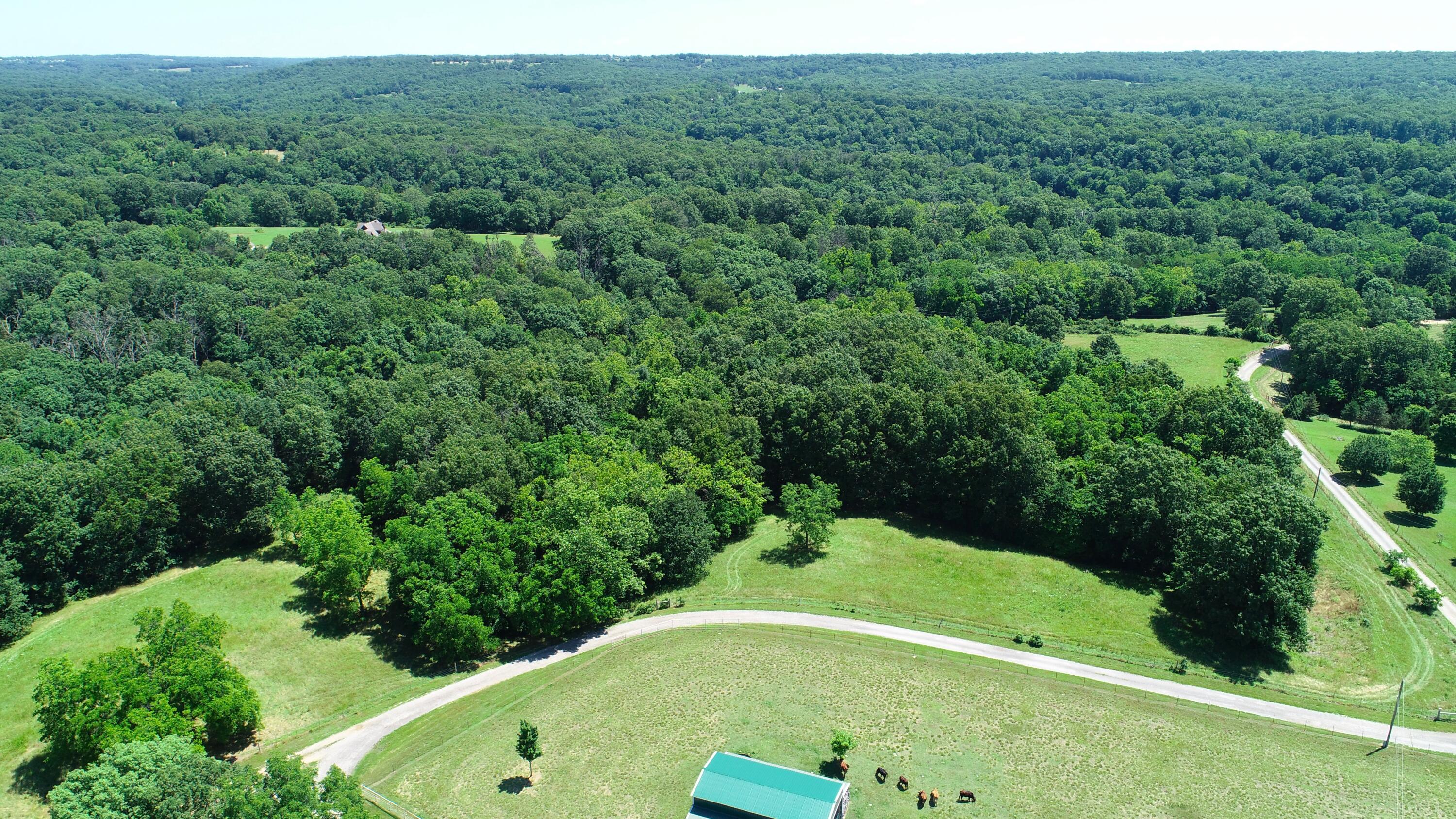2042 Greasy Creek Lane Property Photo 45