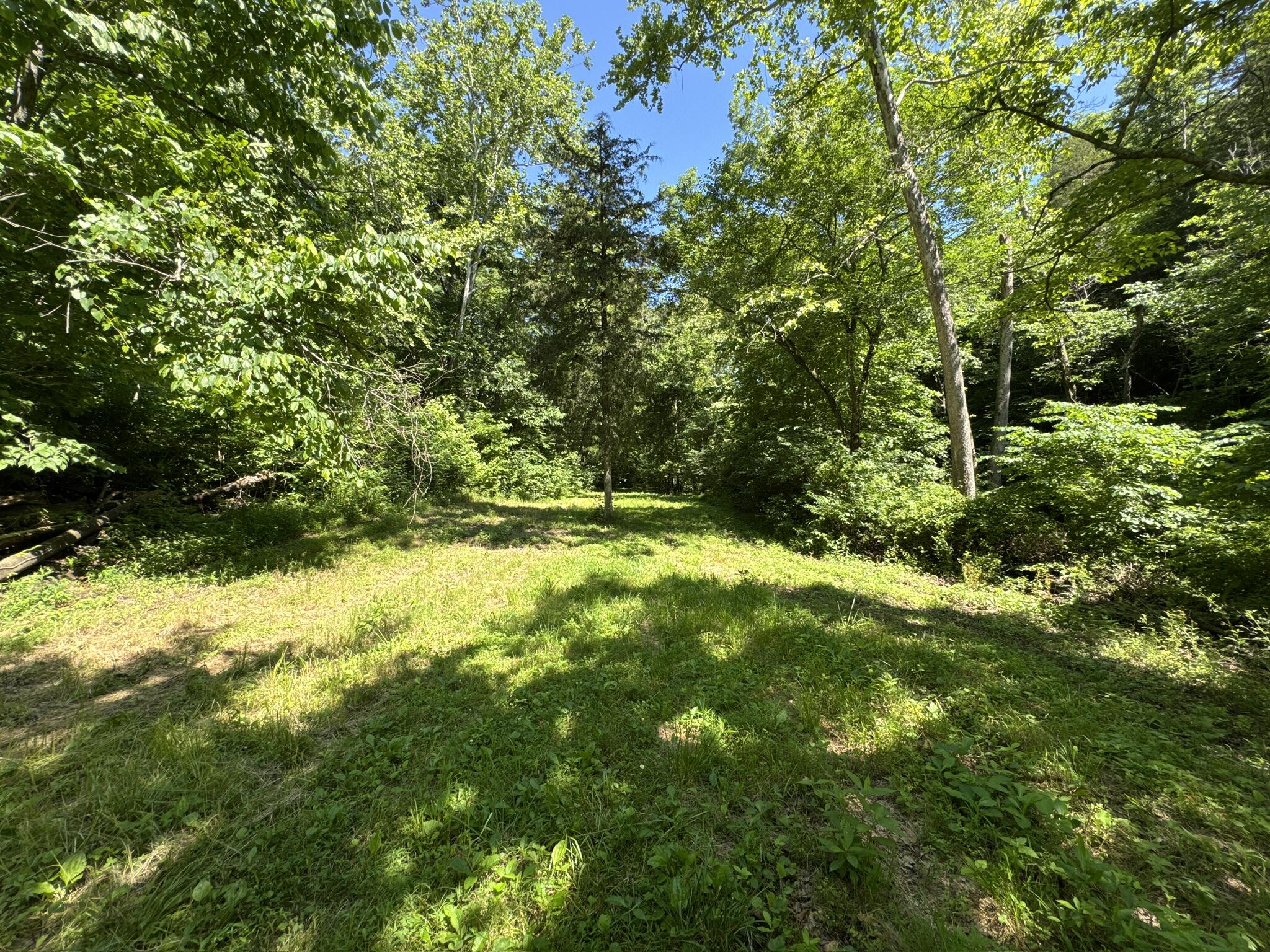 2042 Greasy Creek Lane Property Photo 52