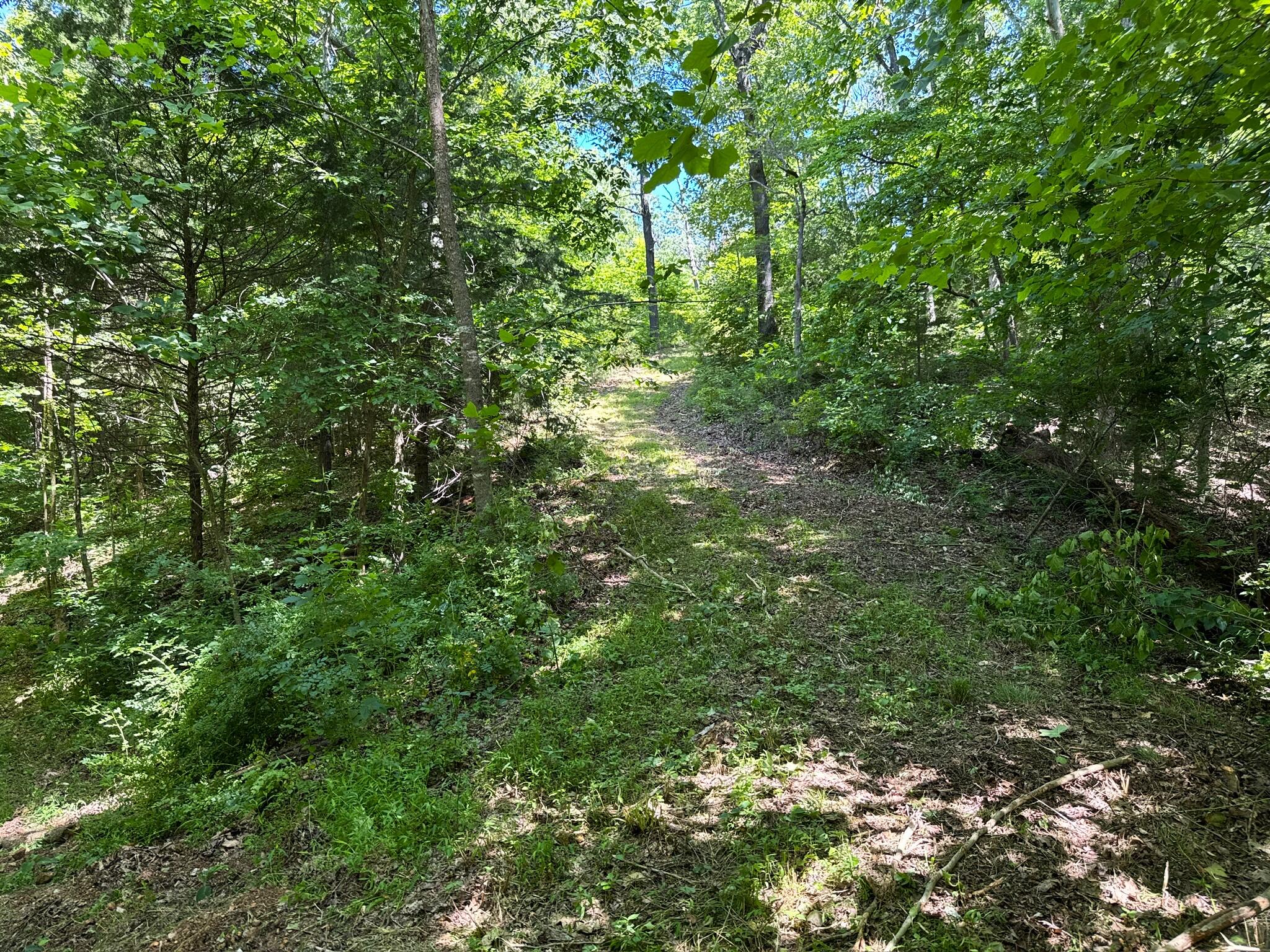2042 Greasy Creek Lane Property Photo 53