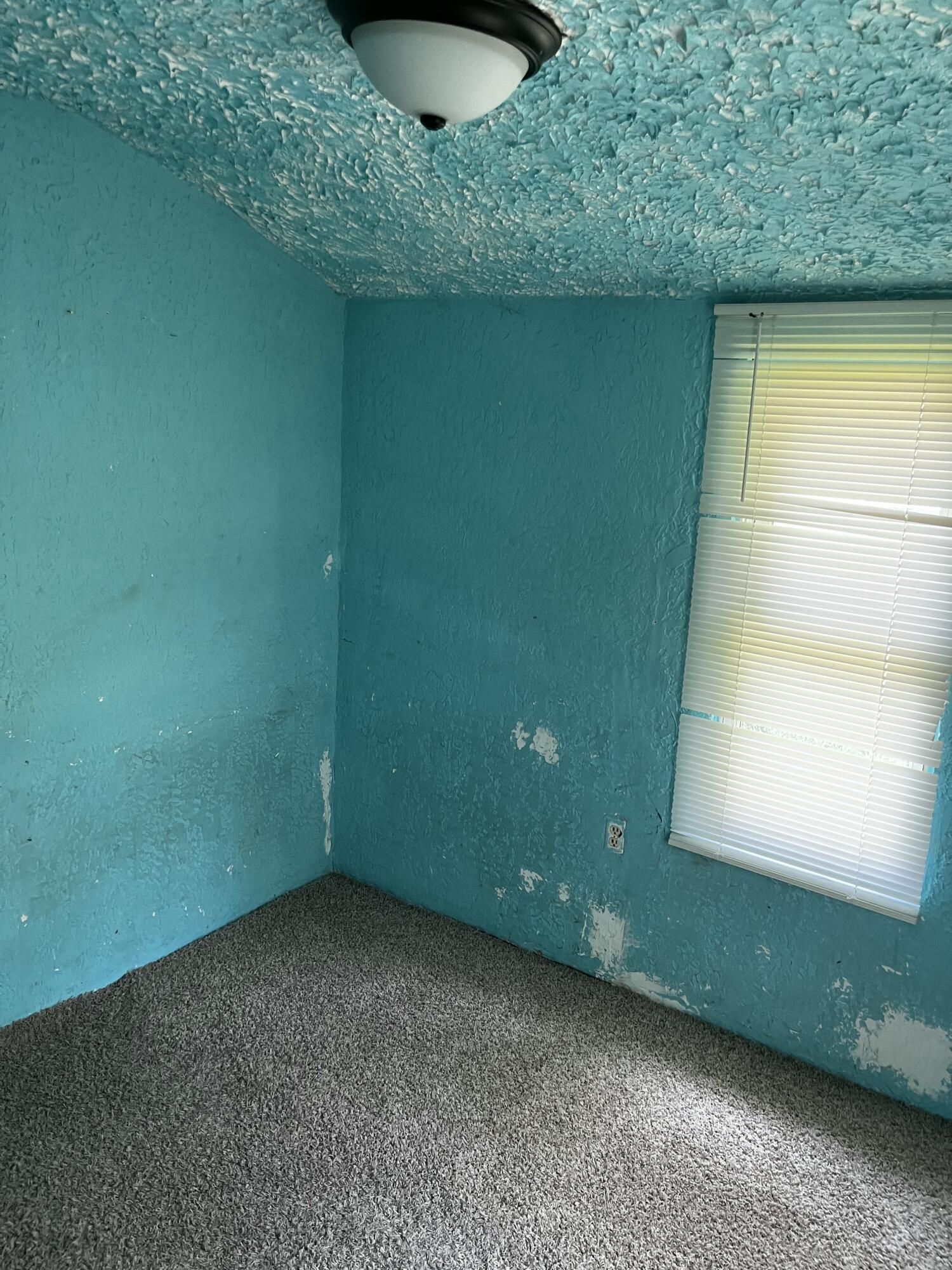 1102 Ivey Street Property Photo 10