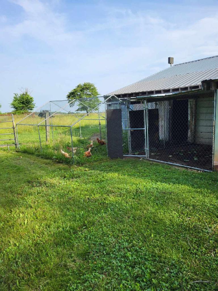 20576 Highway 60 Property Photo 4