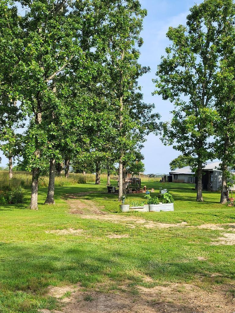 20576 Highway 60 Property Photo 13
