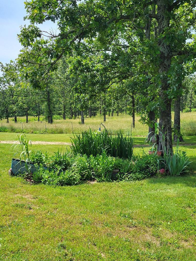 20576 Highway 60 Property Photo 14