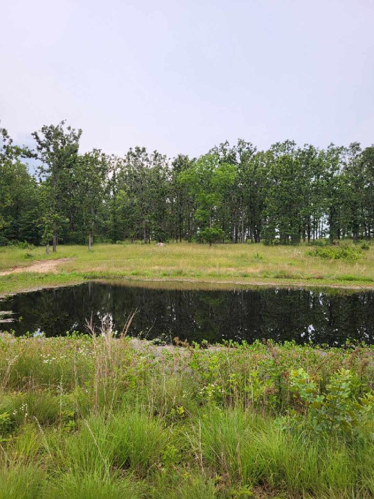 20576 Highway 60 Property Photo 17
