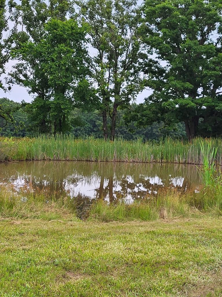 20576 Highway 60 Property Photo 19