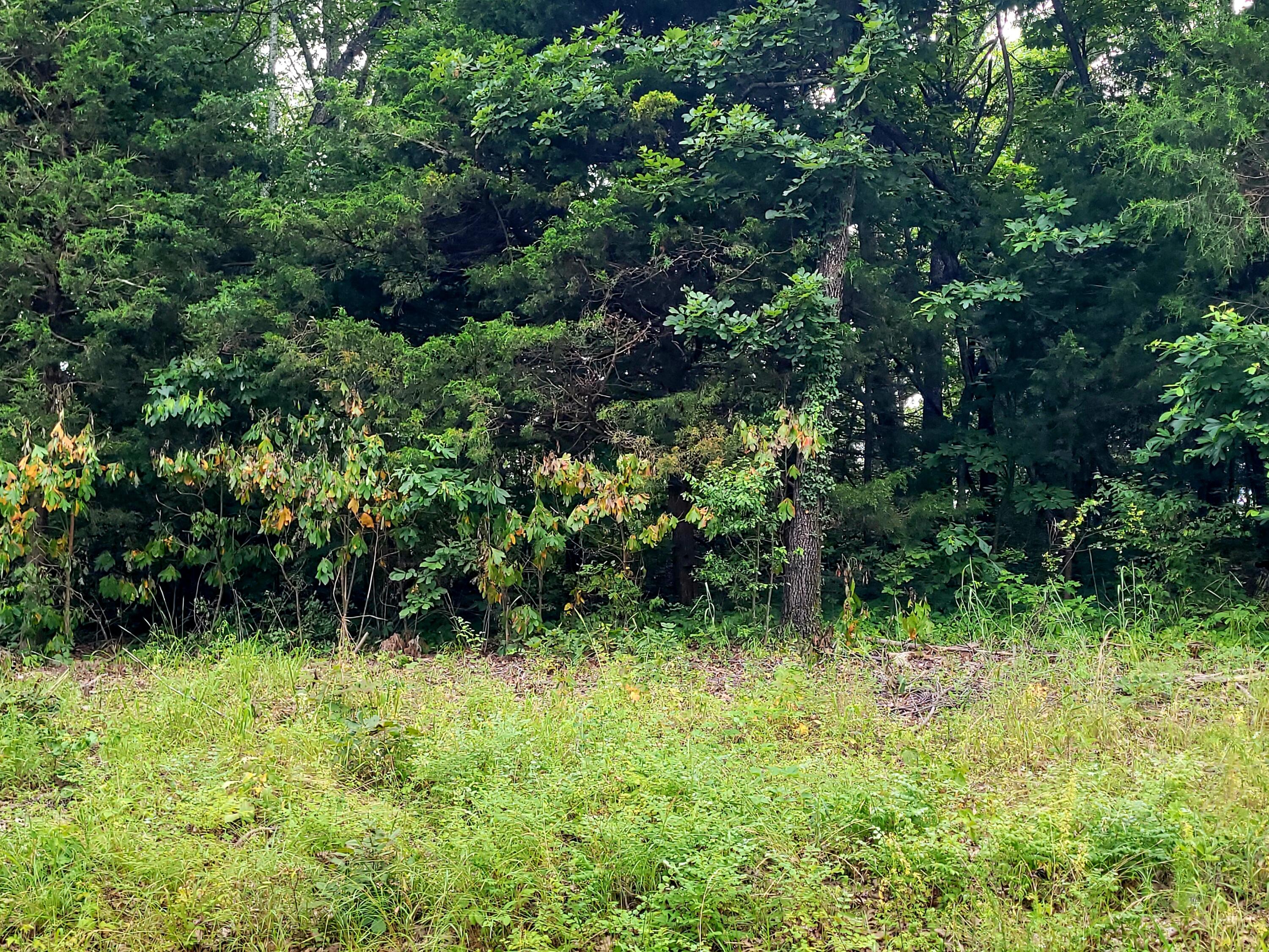 Lot 2 Tate Rd Property Photo 1