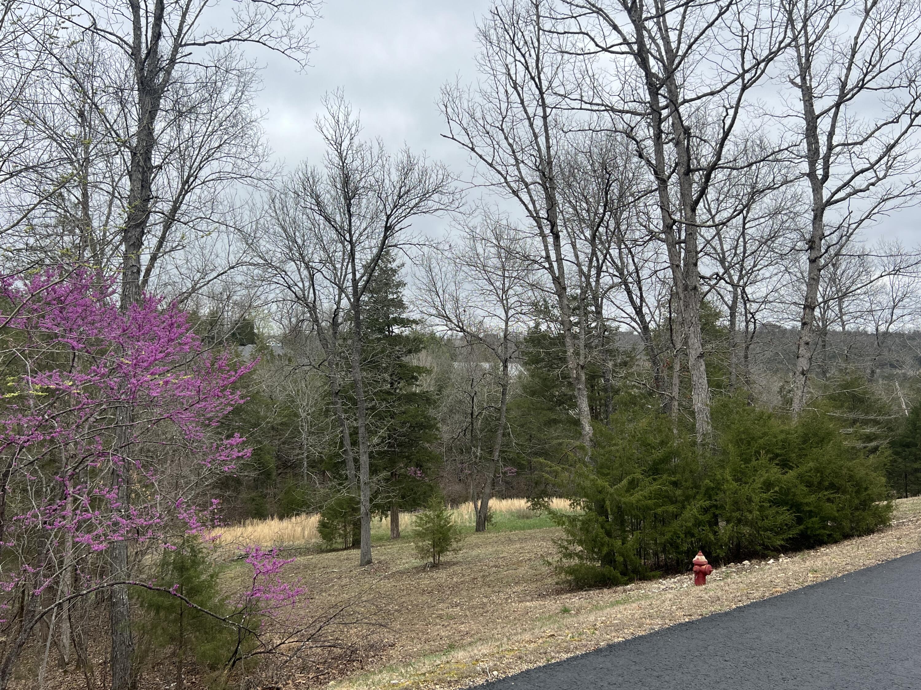 000 Appaloosa Trail Property Photo 1