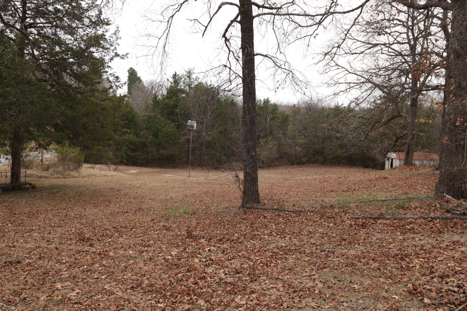 538 Mill Hollow Road Property Photo 5