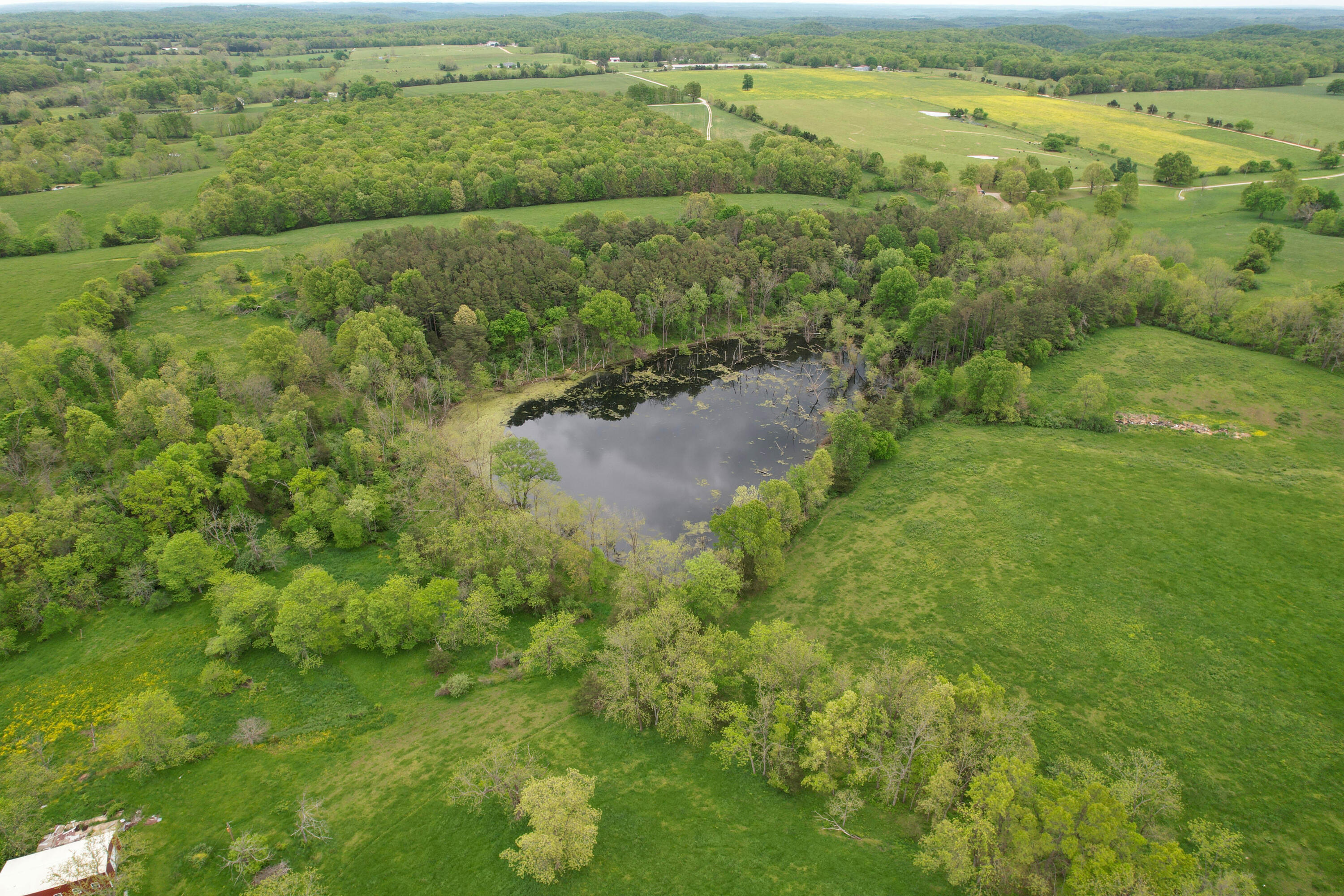 000 State Highway K Property Photo 40