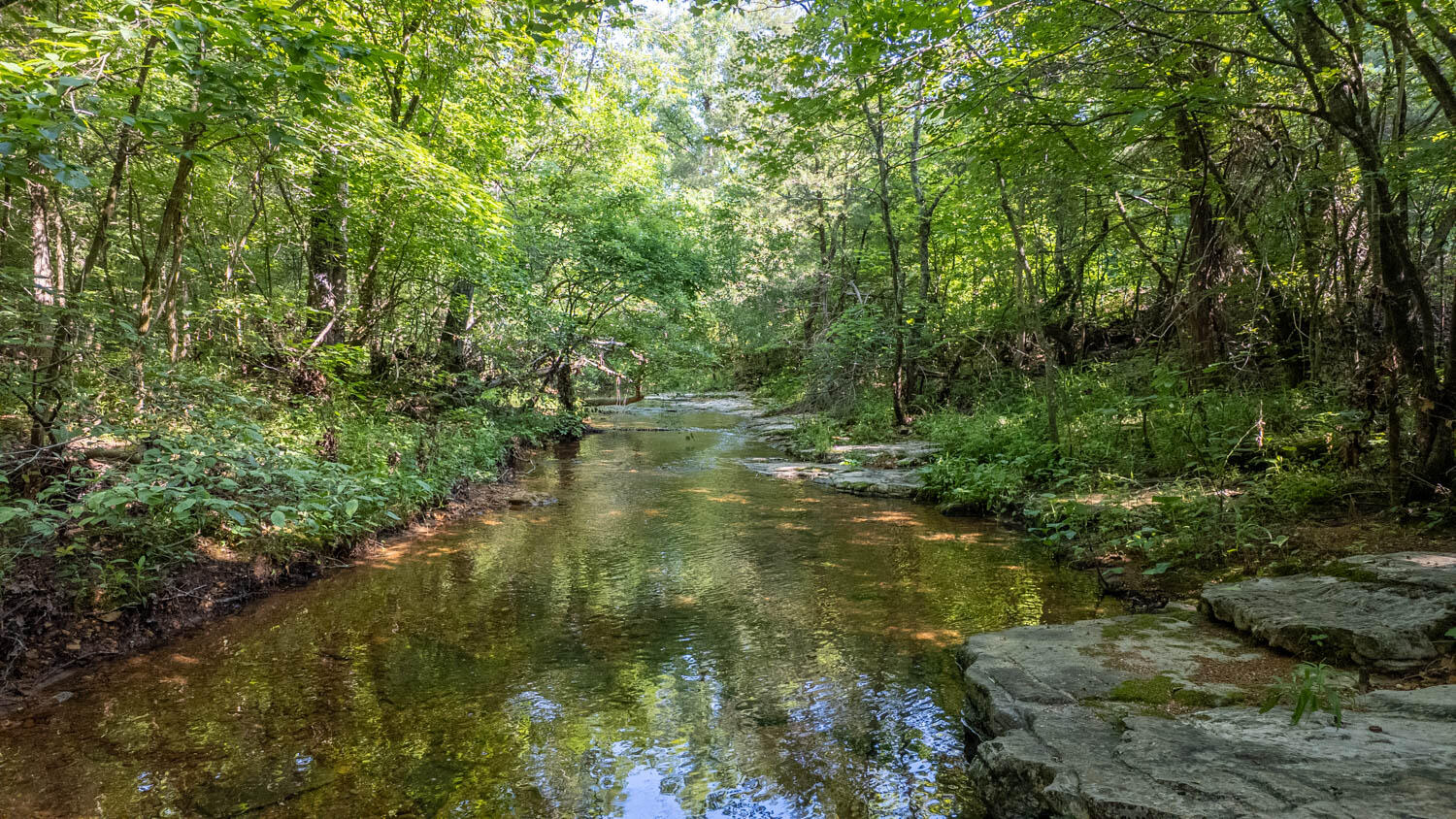 Tbd Brown'S Creek Road
