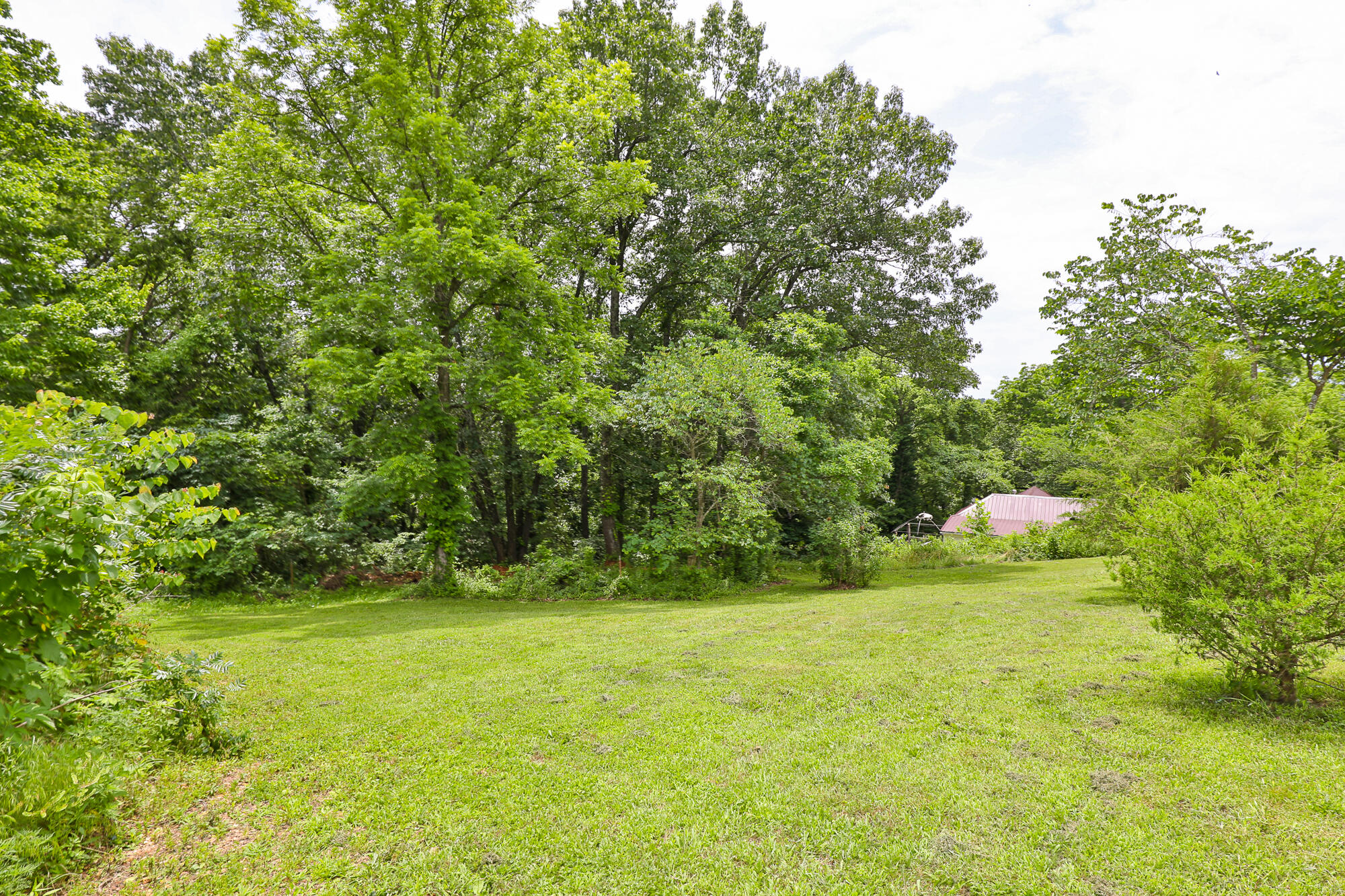 311 College Street Property Photo 29